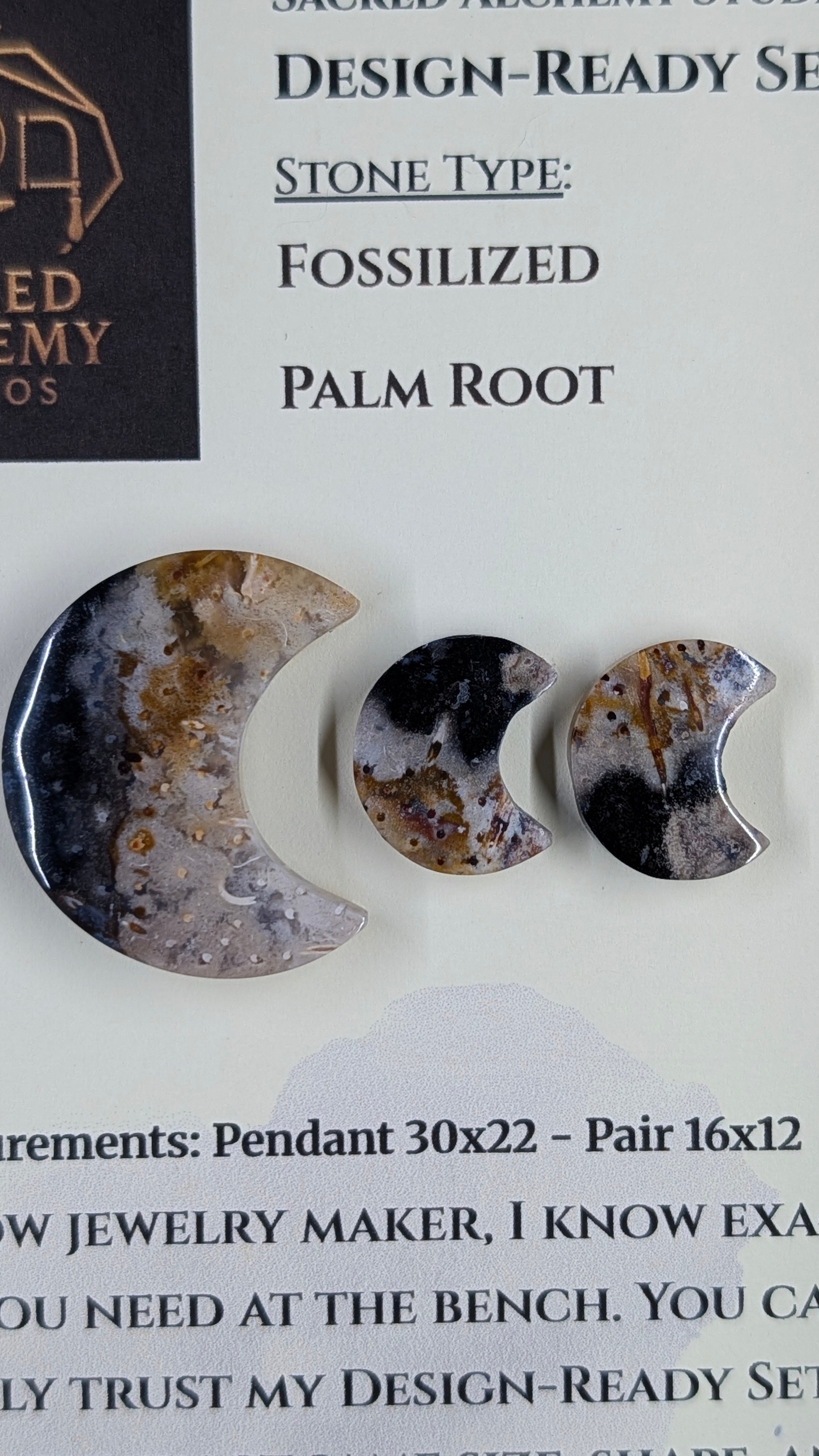 Crescent Moon - Fossilized Palm Root - Design-Ready Set