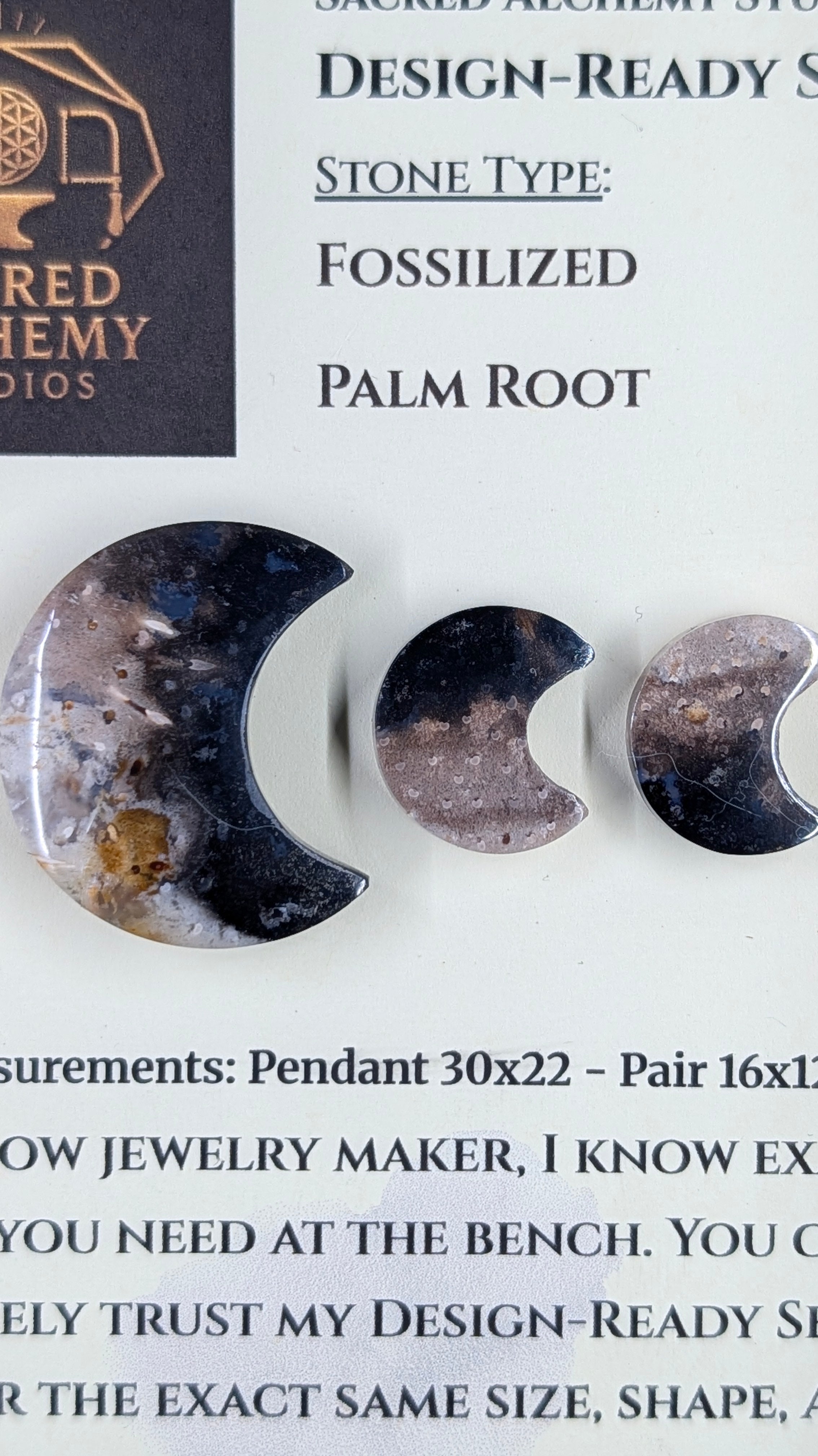 Crescent Moon - Fossilized Palm Root - Design-Ready Set