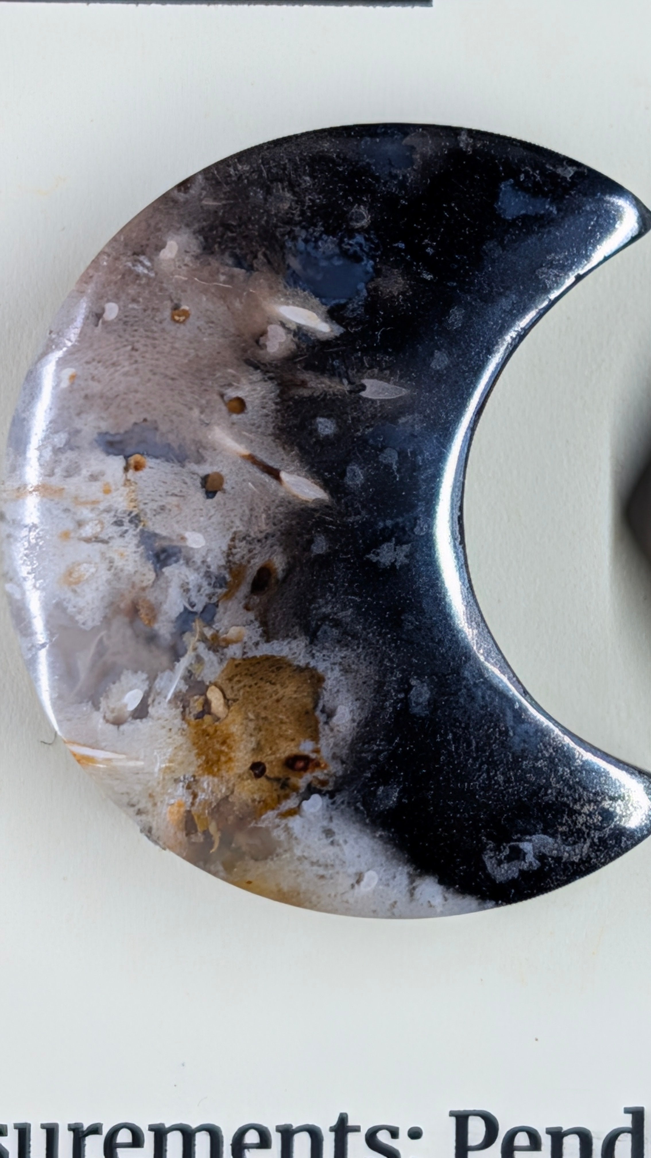 Crescent Moon - Fossilized Palm Root - Design-Ready Set