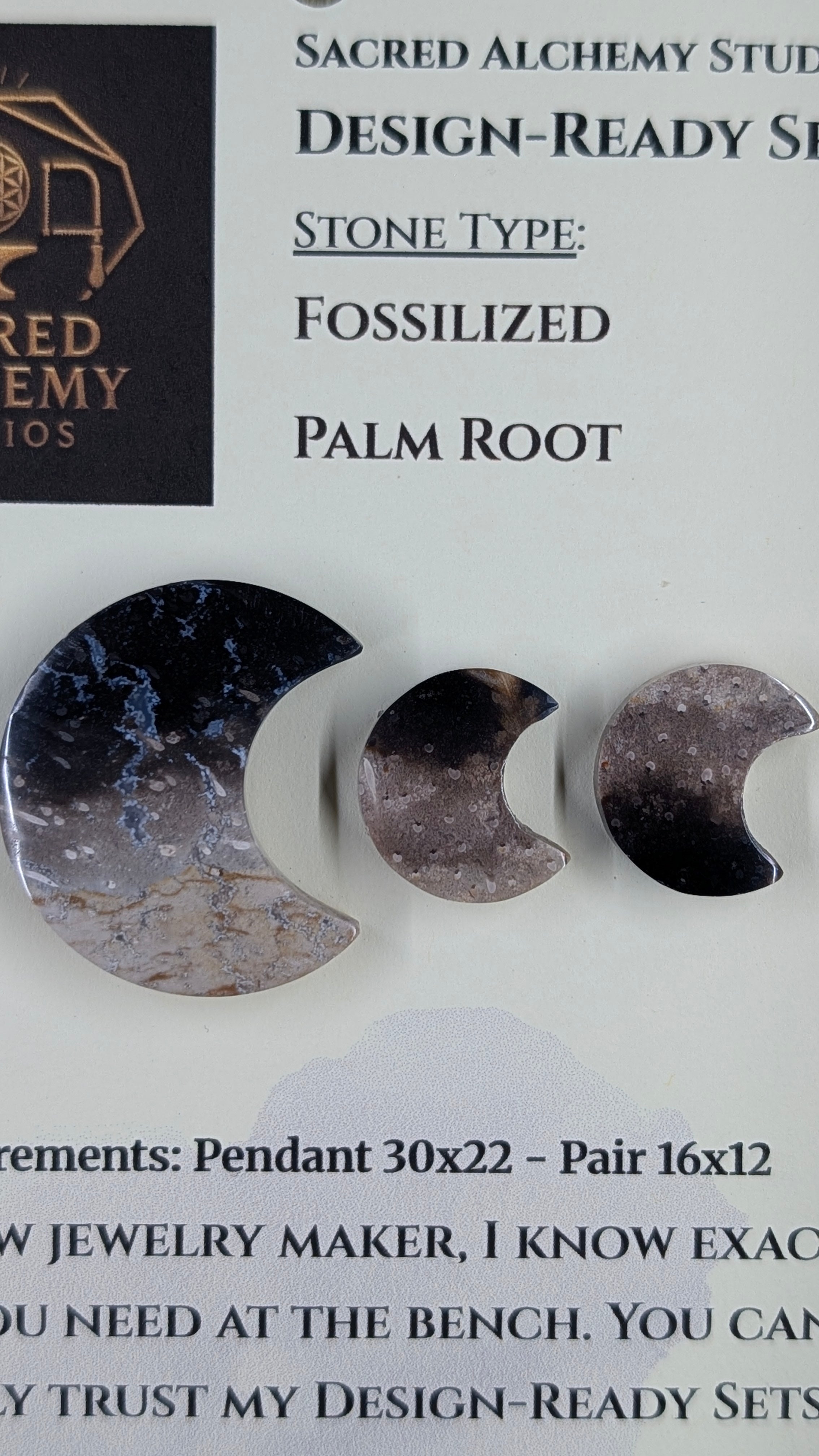 Crescent Moon - Fossilized Palm Root - Design-Ready Set