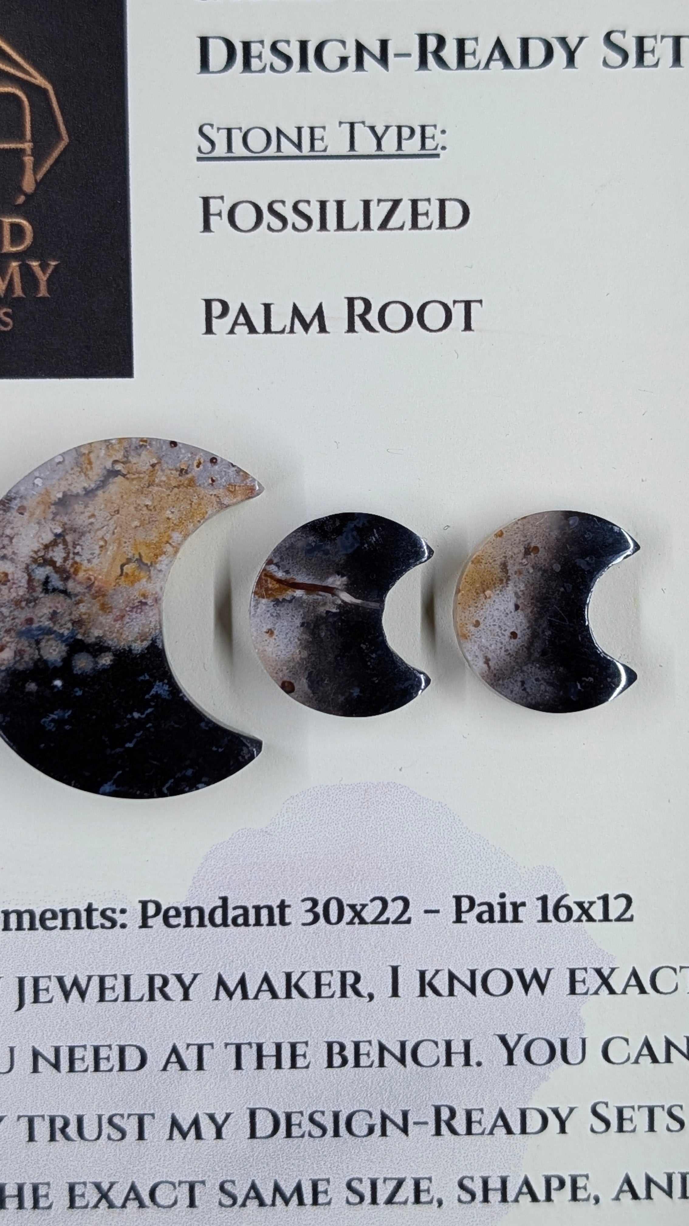Crescent Moon - Fossilized Palm Root - Design-Ready Set