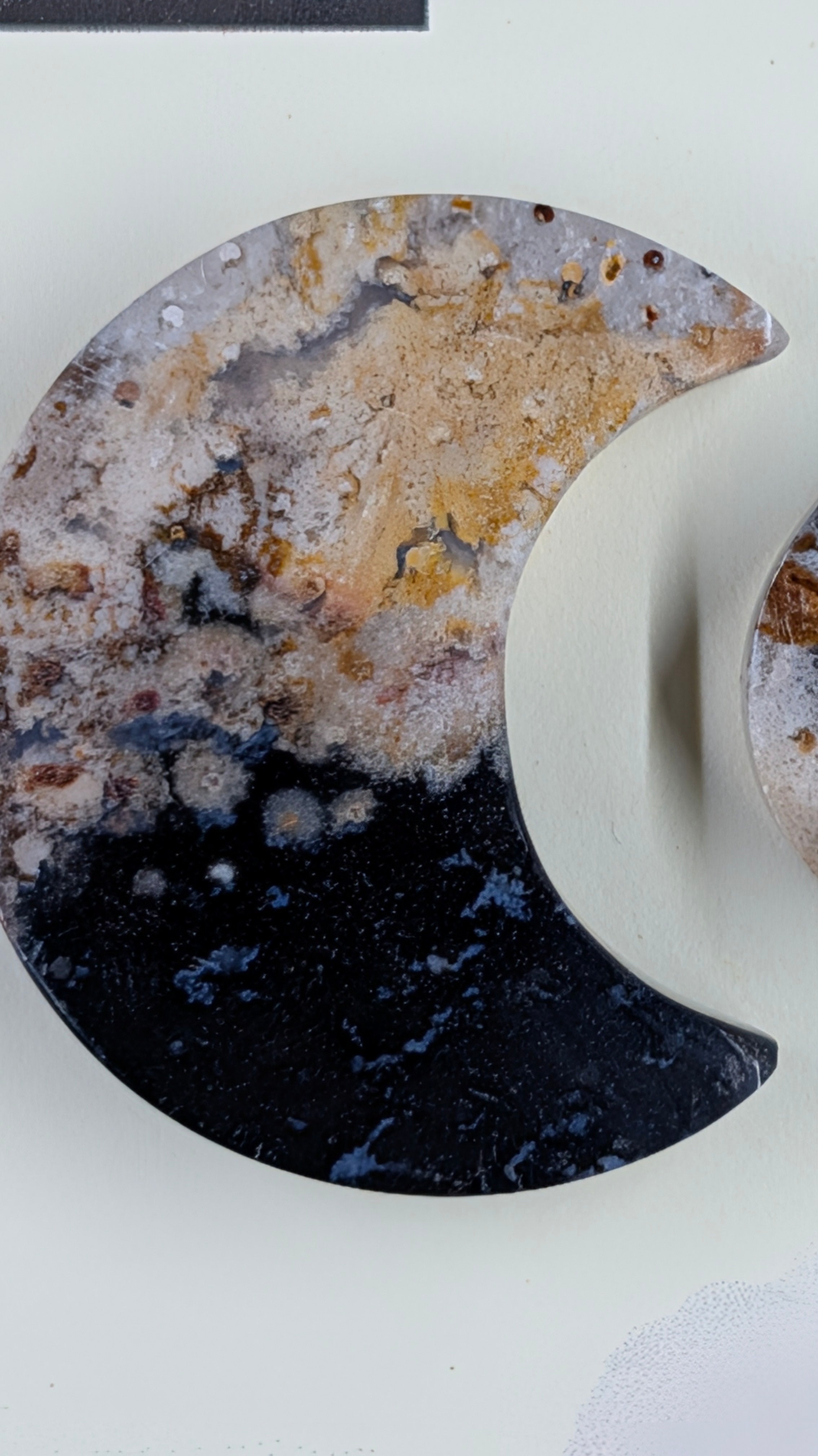 Crescent Moon - Fossilized Palm Root - Design-Ready Set