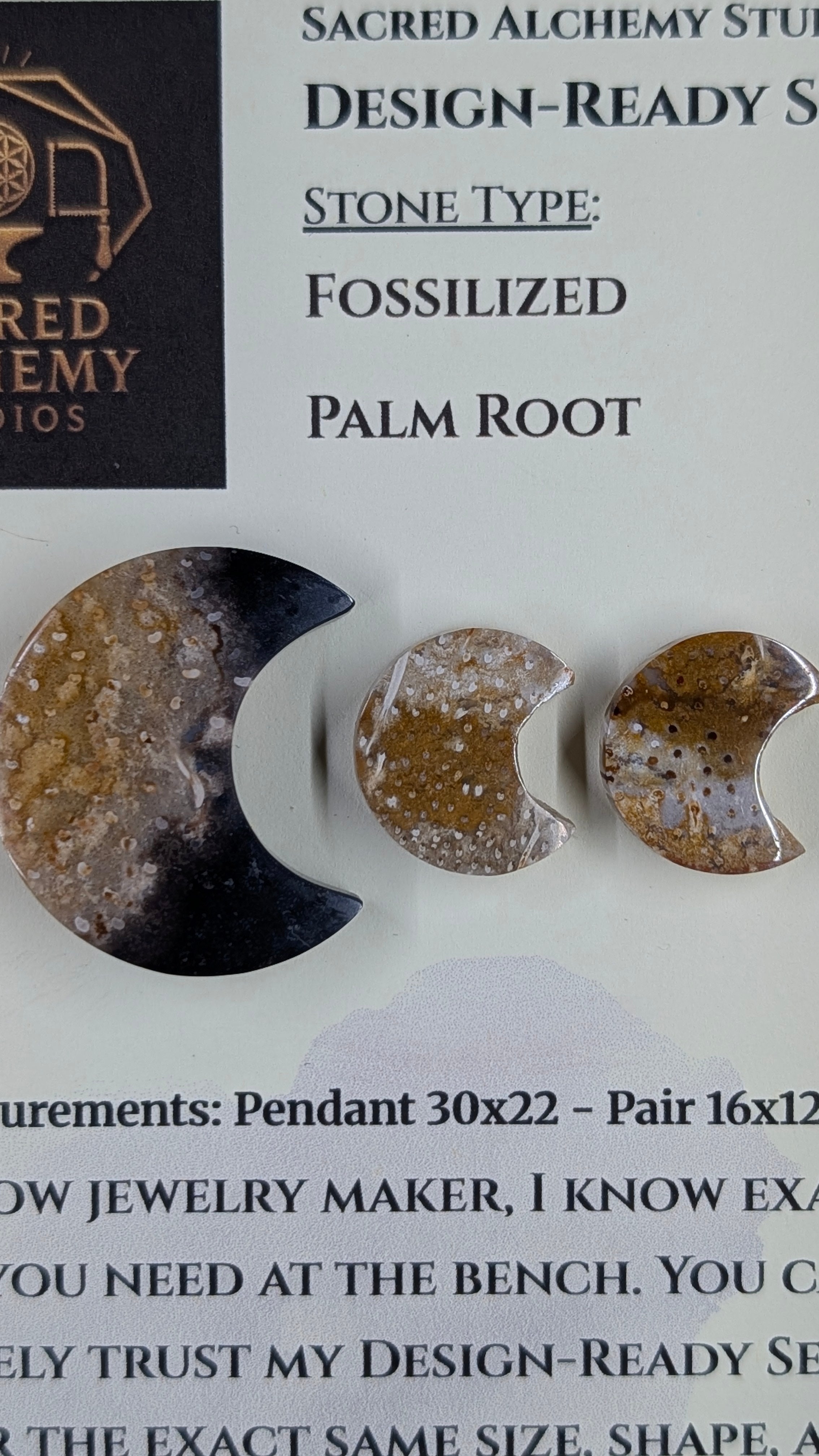 Crescent Moon - Fossilized Palm Root - Design-Ready Set