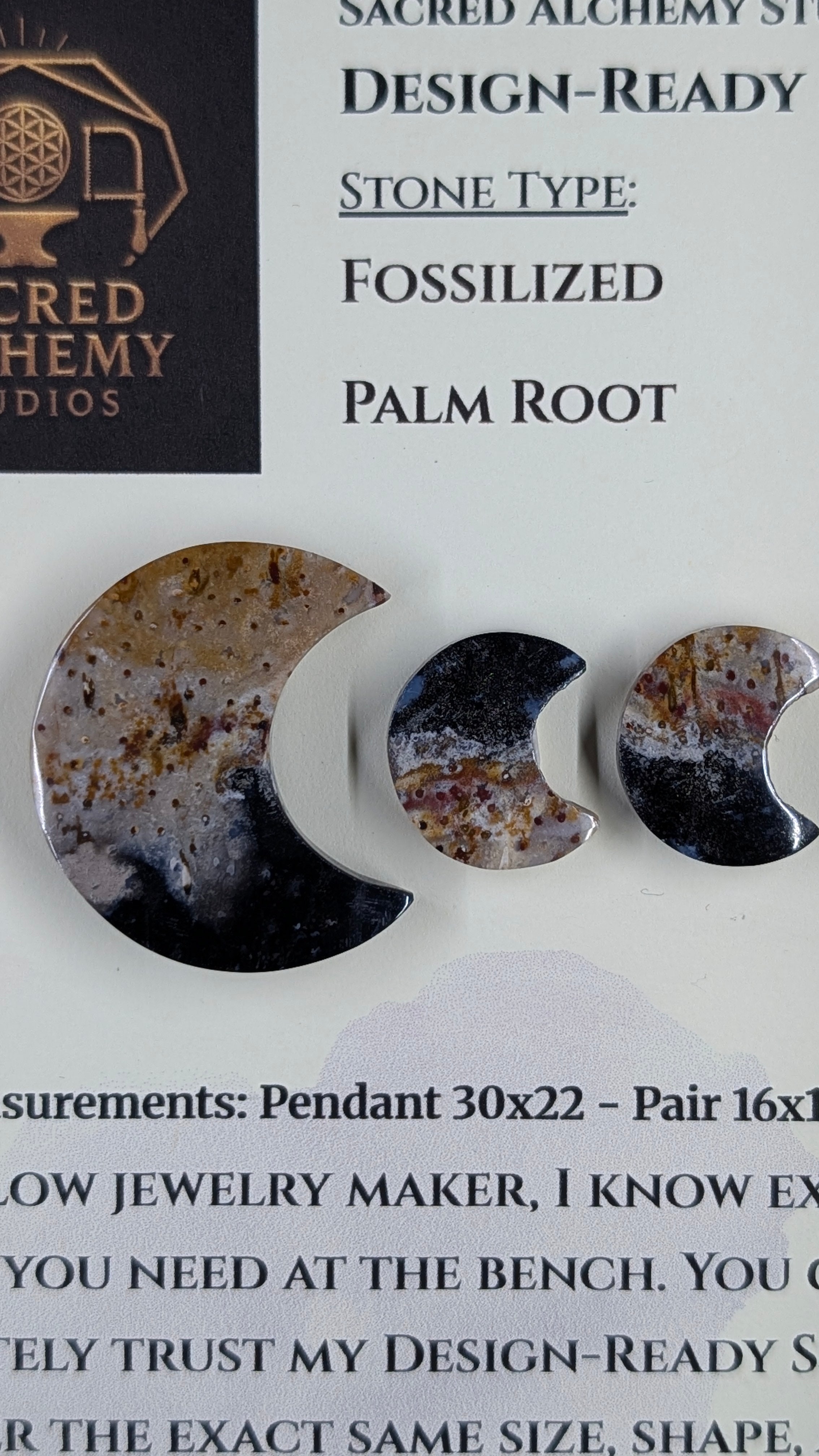 Crescent Moon - Fossilized Palm Root - Design-Ready Set