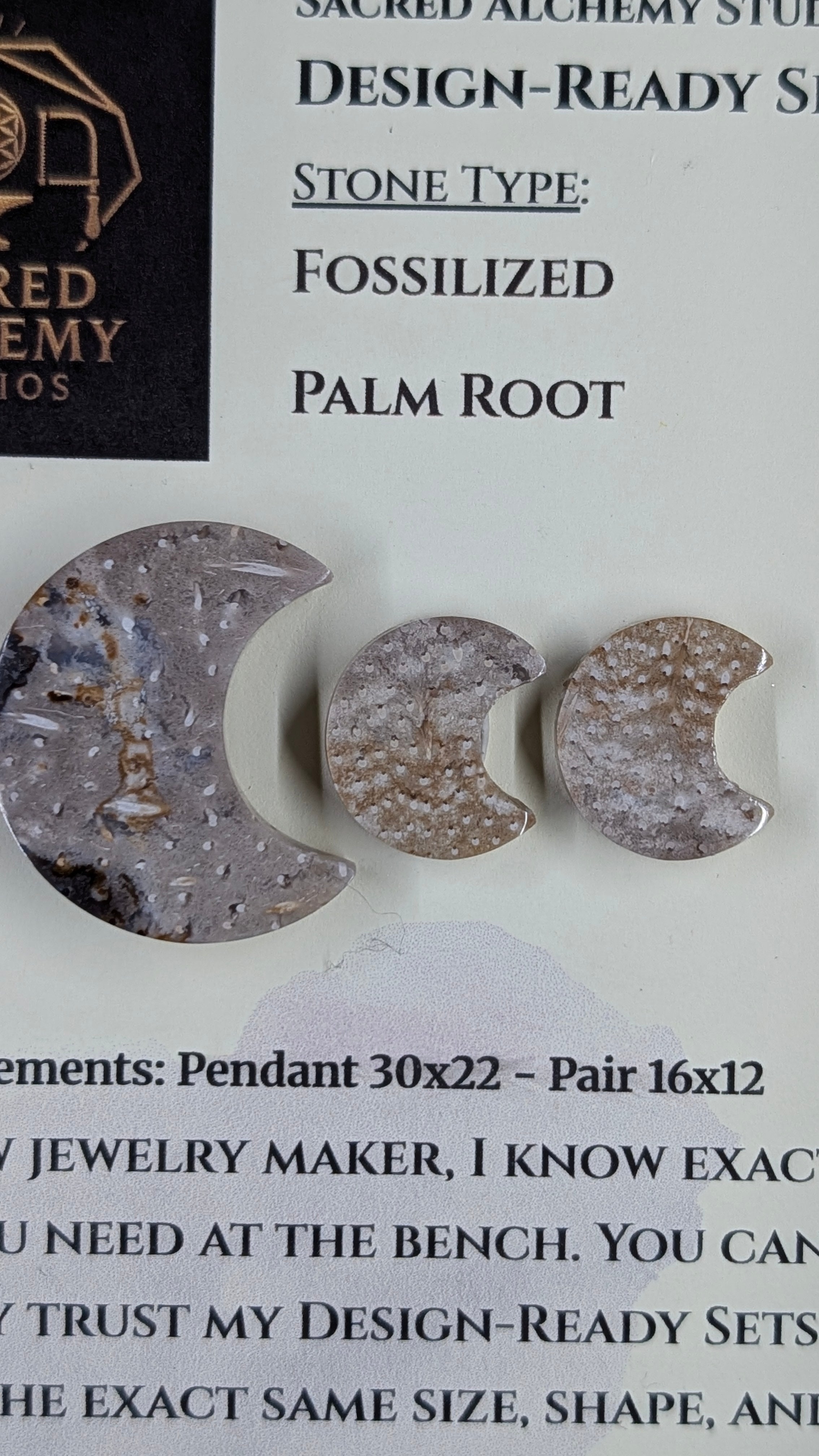 Crescent Moon - Fossilized Palm Root - Design-Ready Set