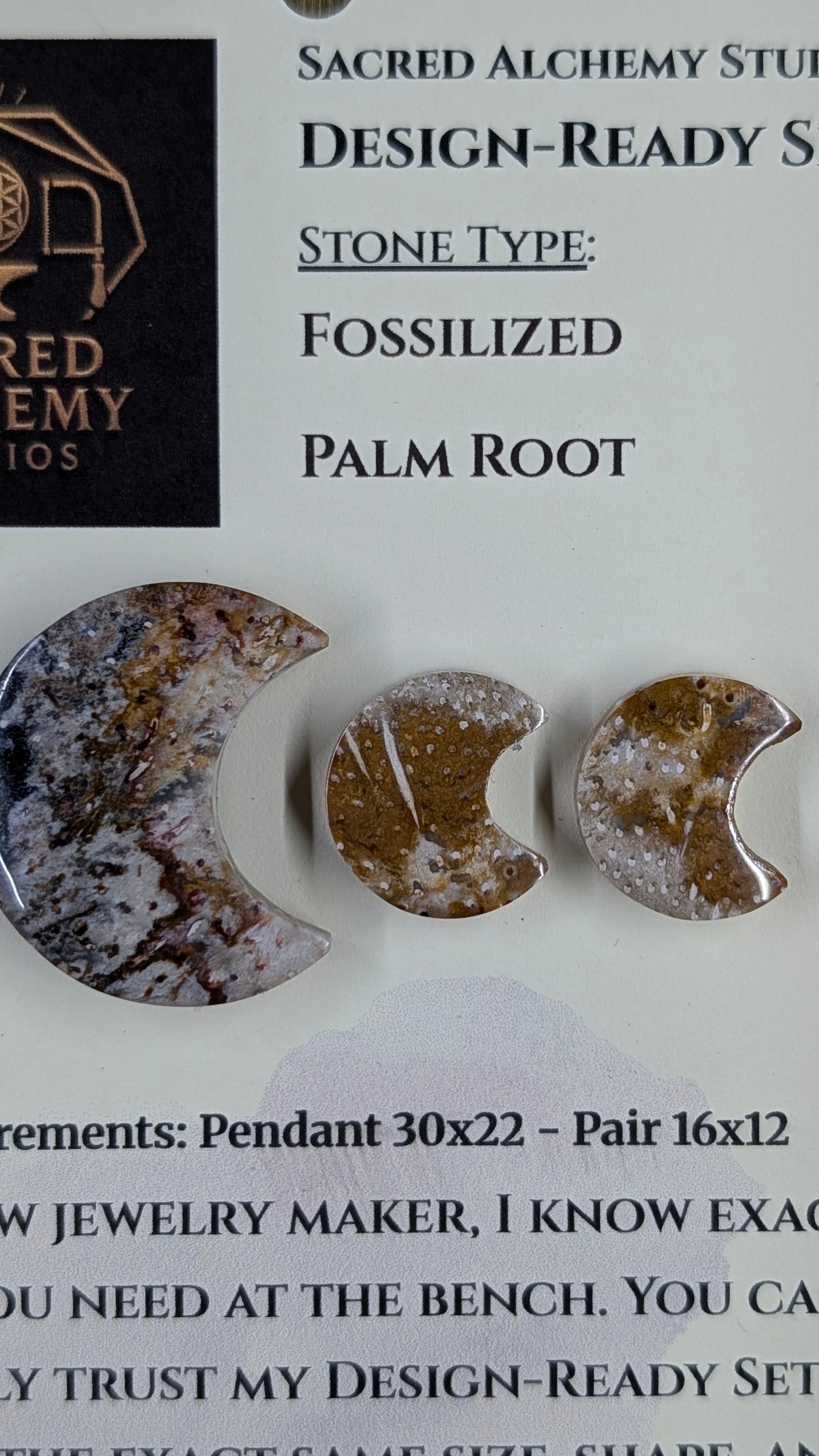 Crescent Moon - Fossilized Palm Root - Design-Ready Set