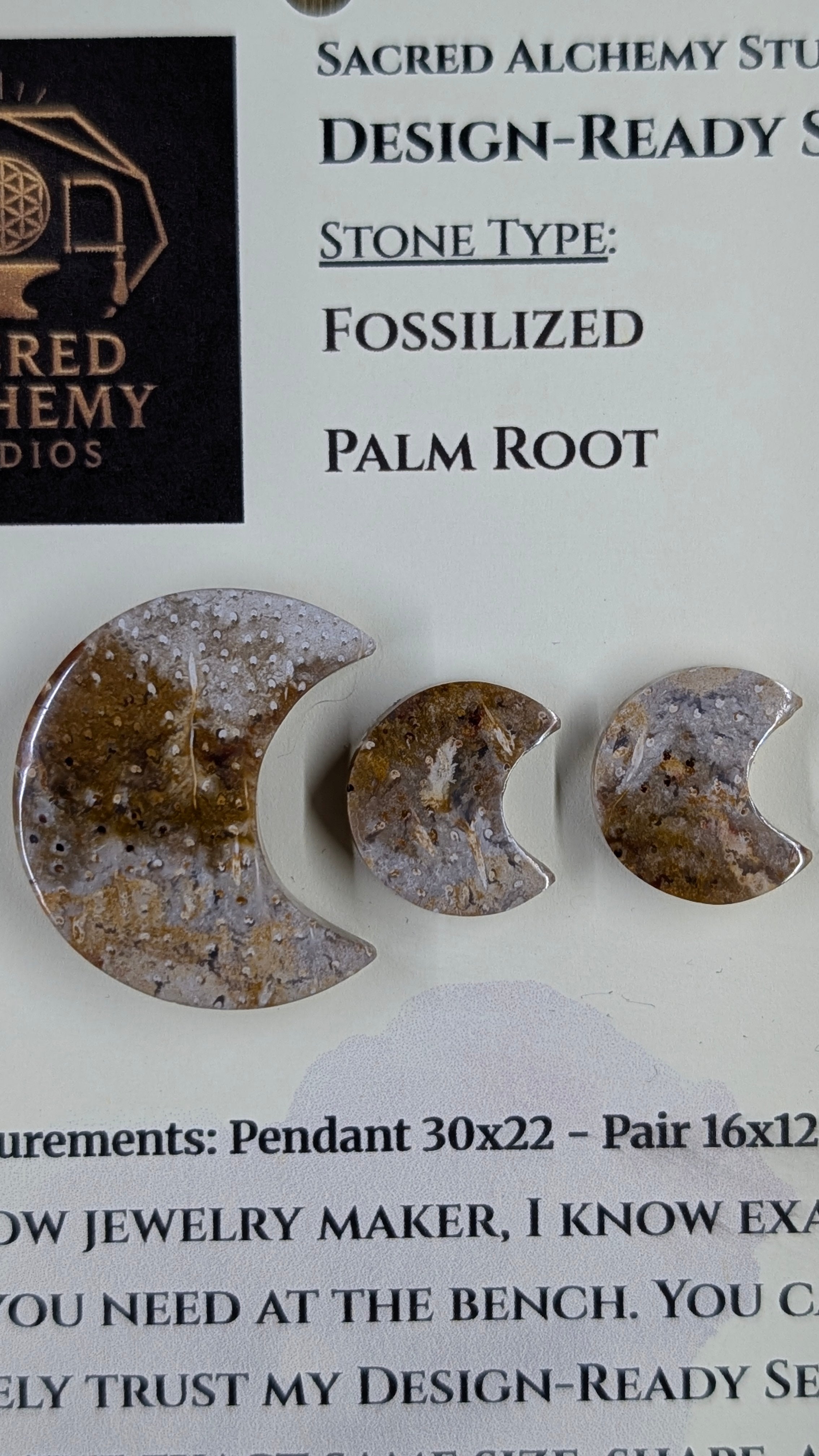 Crescent Moon - Fossilized Palm Root - Design-Ready Set