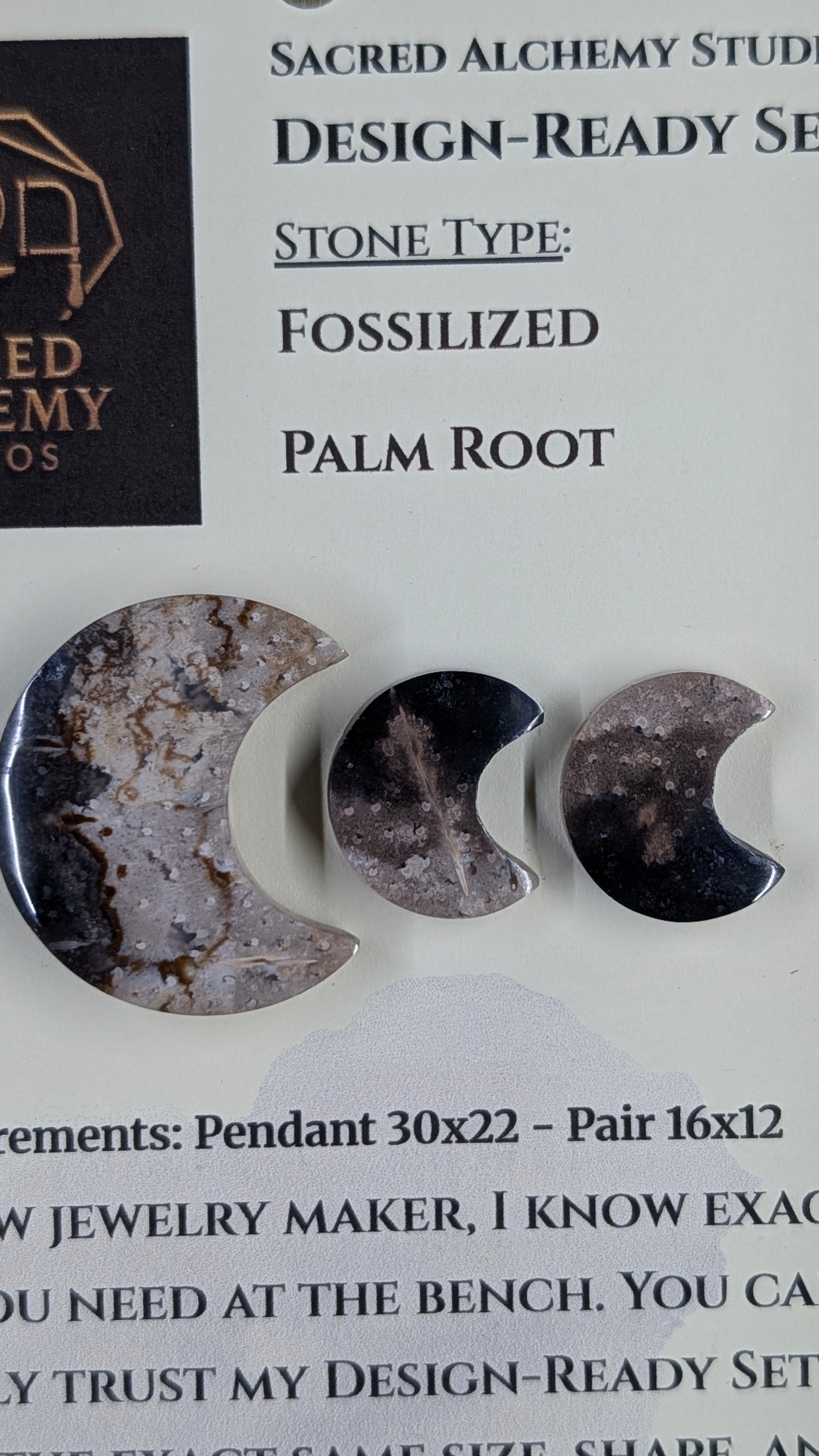 Crescent Moon - Fossilized Palm Root - Design-Ready Set