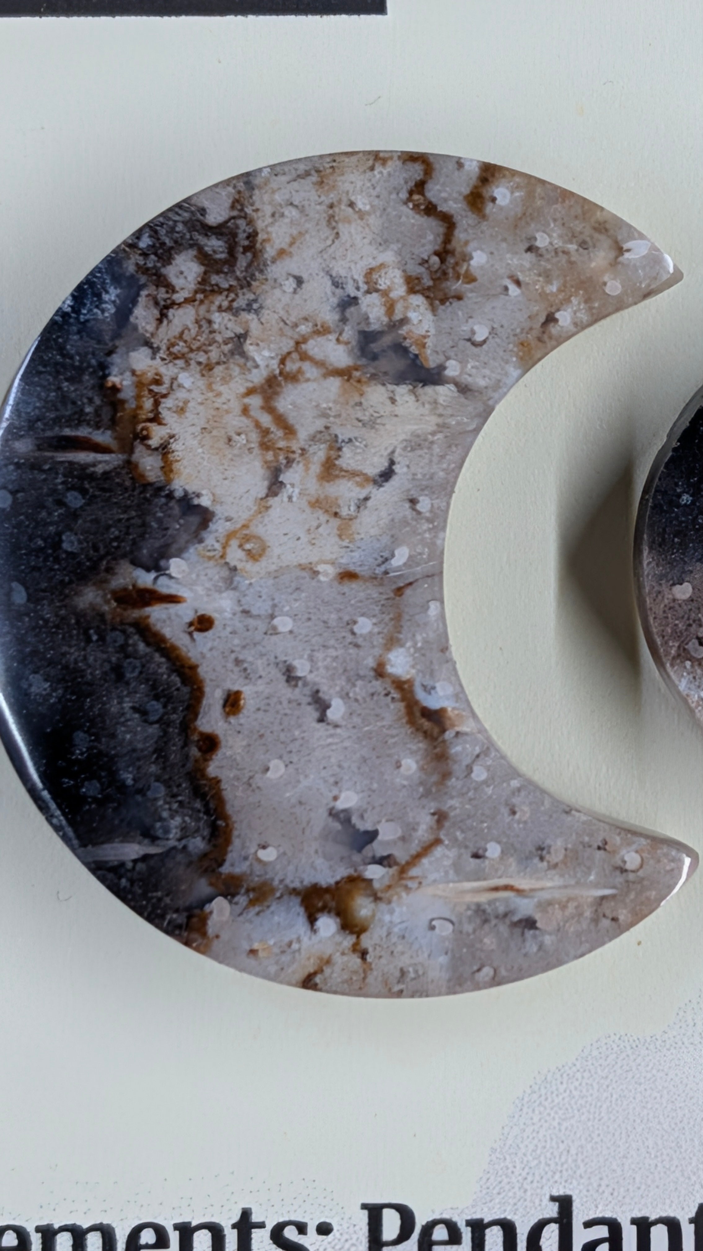 Crescent Moon - Fossilized Palm Root - Design-Ready Set