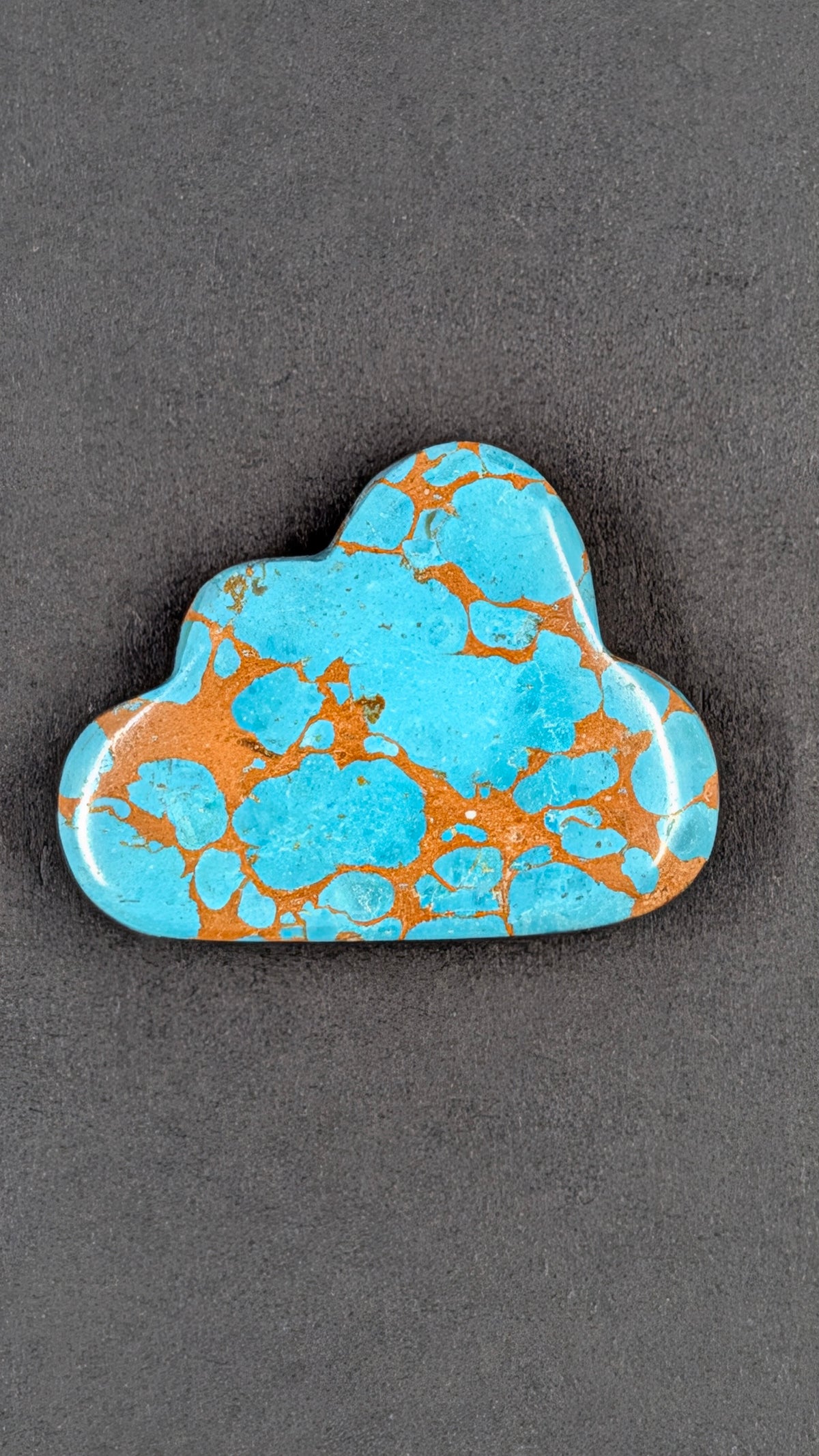 Cloud Shape - Sea Sediment Jasper - Design-Ready™™