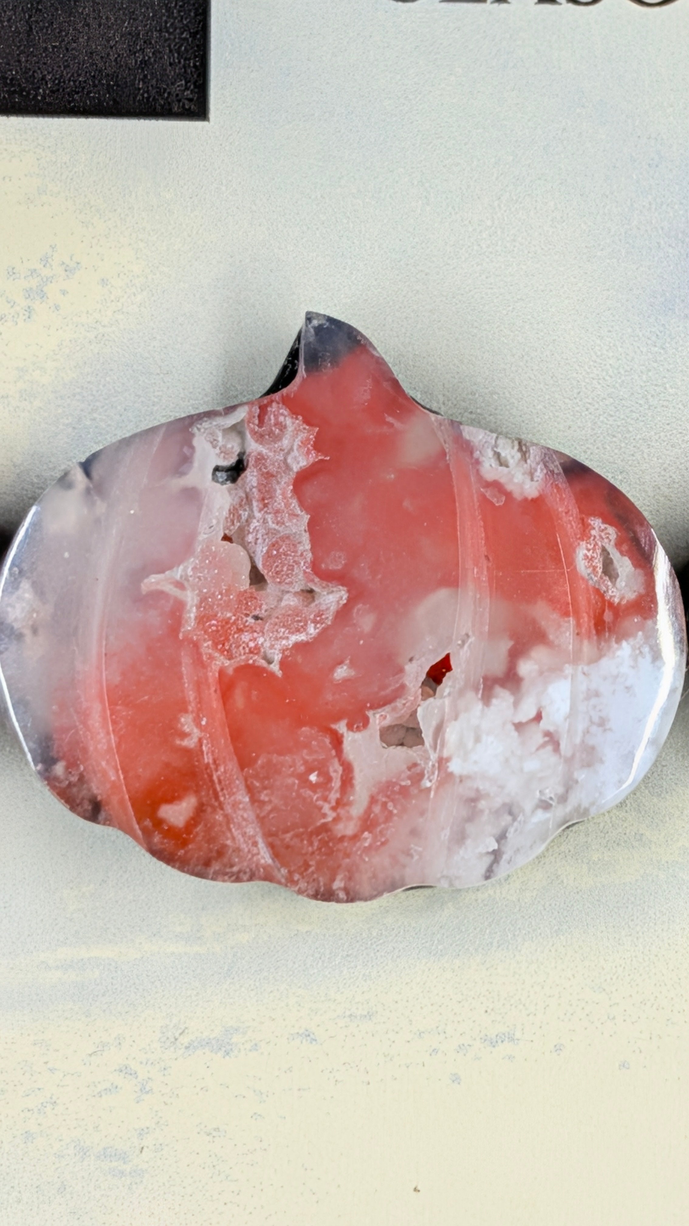 Spooky Season Pumpkin - Orange Plume Agate - Design-Ready™ Set