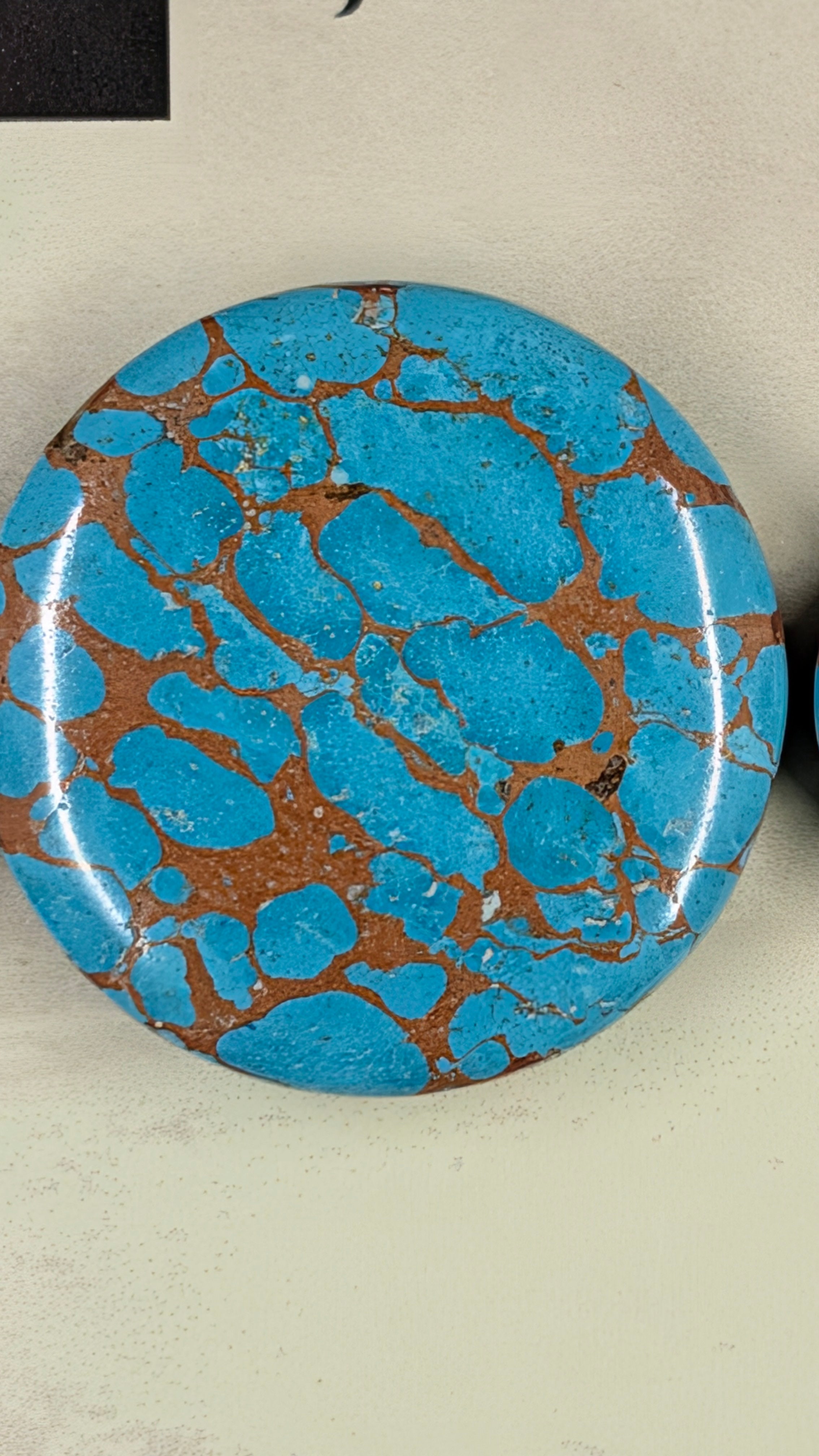 Circle Shape - Sea Sediment Jasper - Design-Ready™
