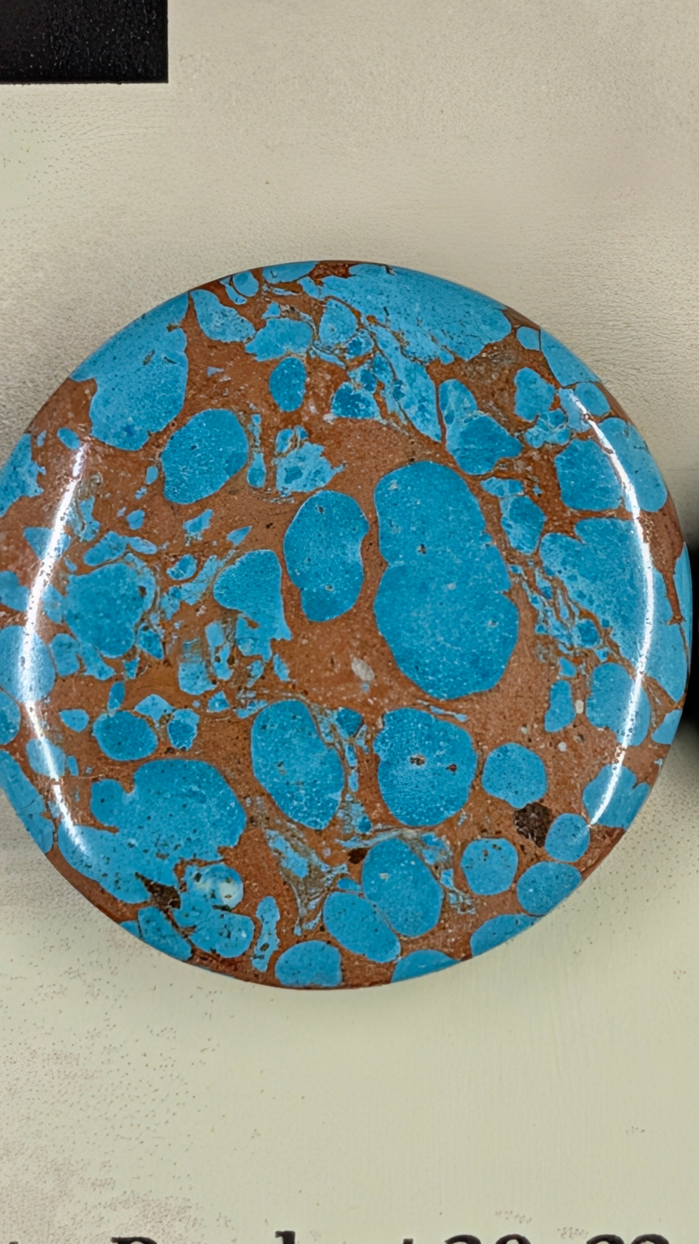 Circle Shape - Sea Sediment Jasper - Design-Ready™