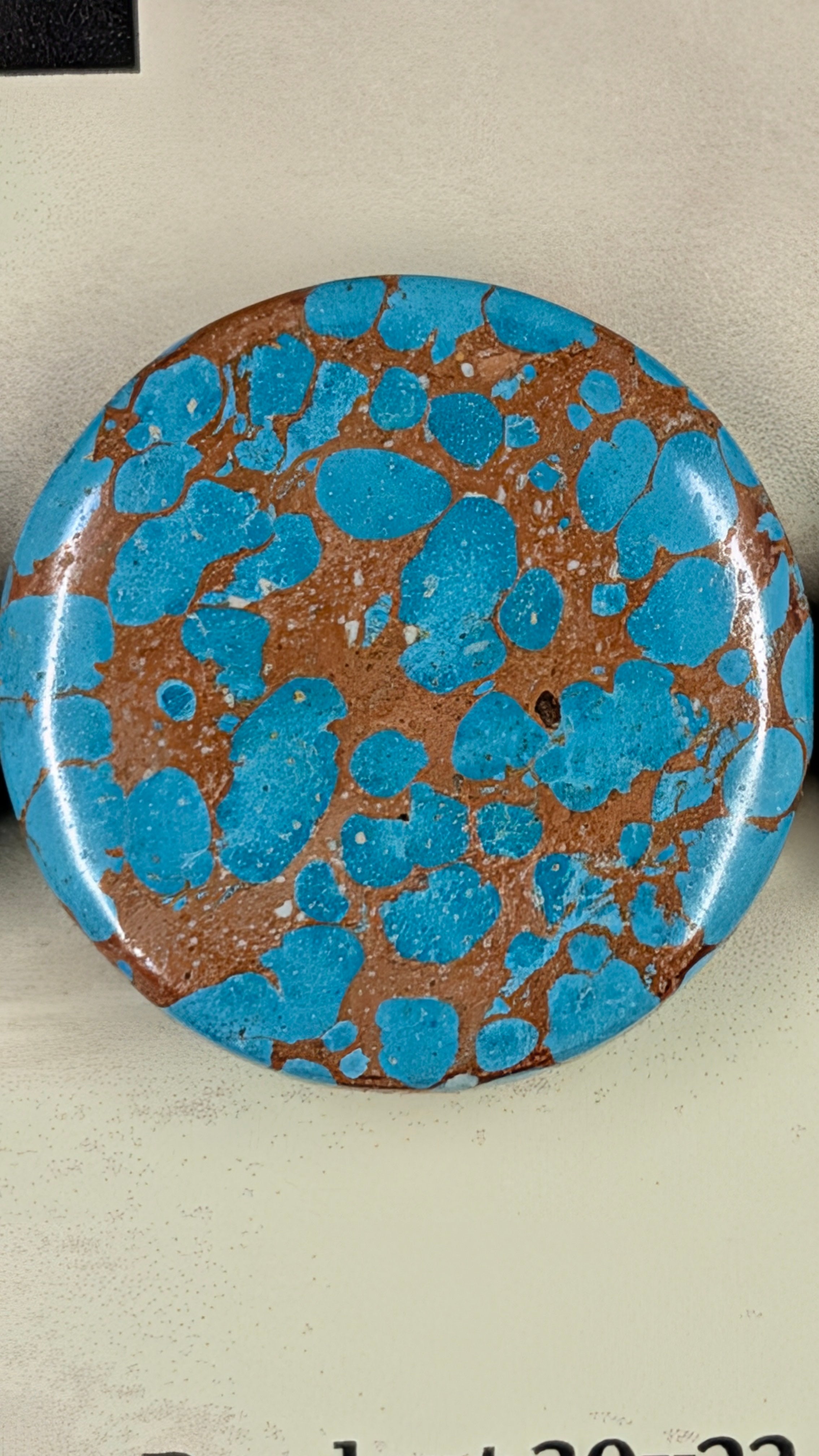 Circle Shape - Sea Sediment Jasper - Design-Ready™