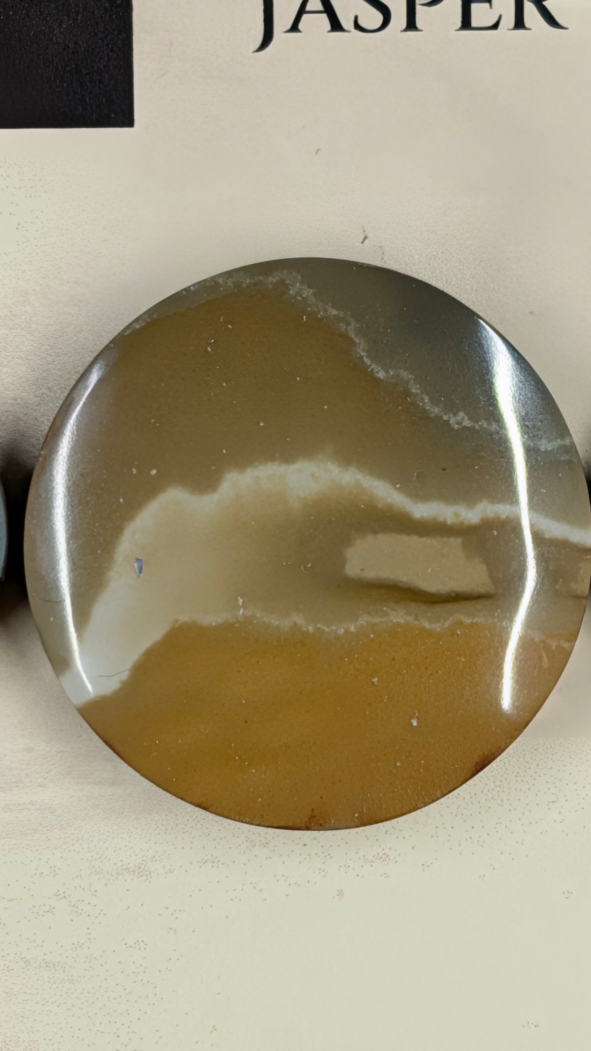 Circle Shape - Succor Creek Jasper - Design-Ready™ Set