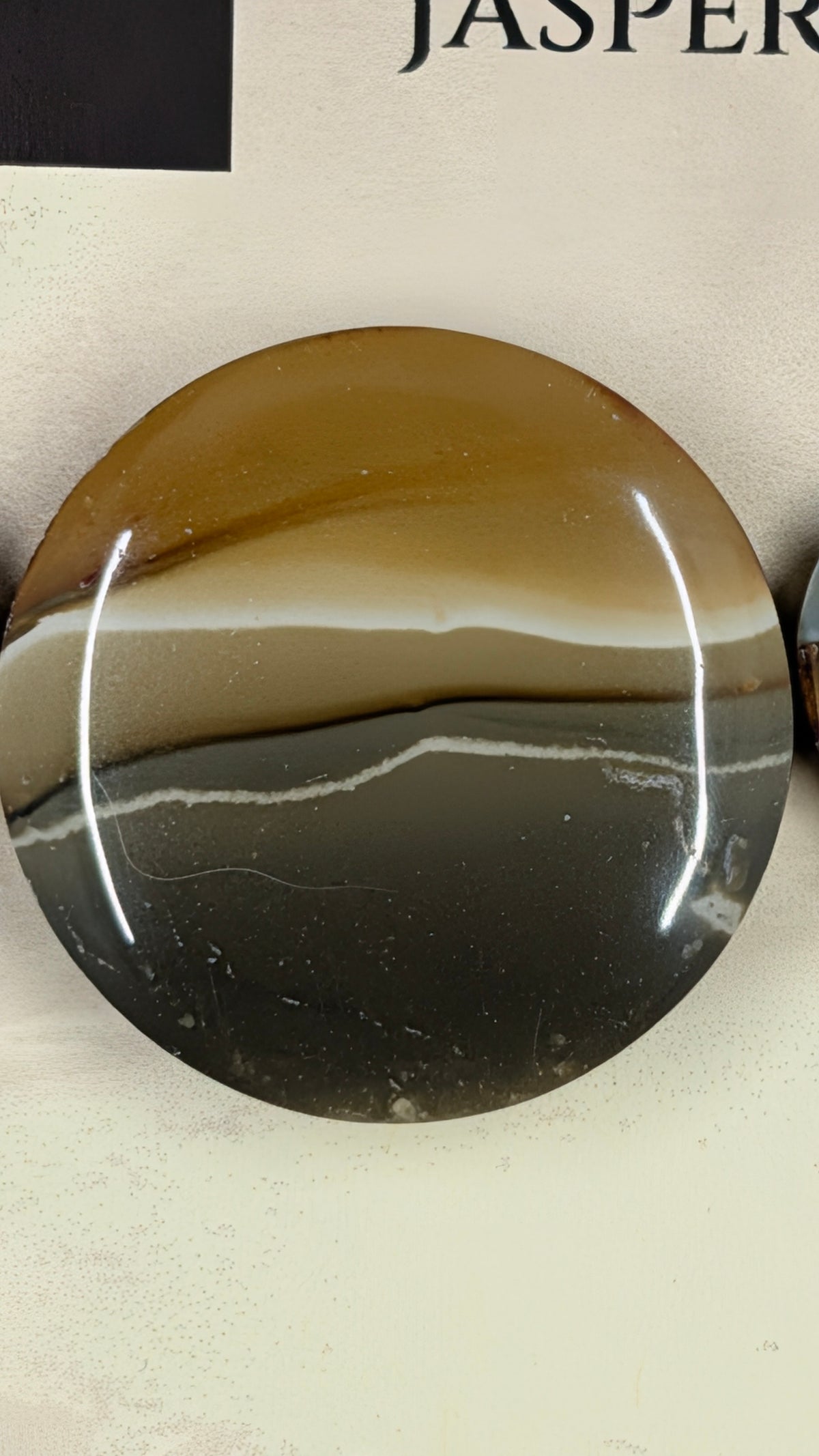 Circle Shape - Succor Creek Jasper - Design-Ready™ Set