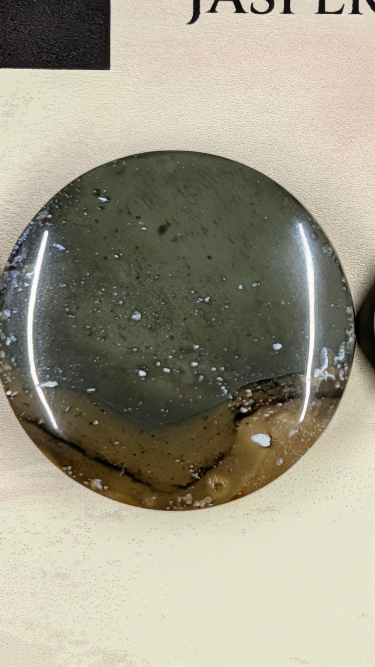 Circle Shape - Succor Creek Jasper - Design-Ready™ Set