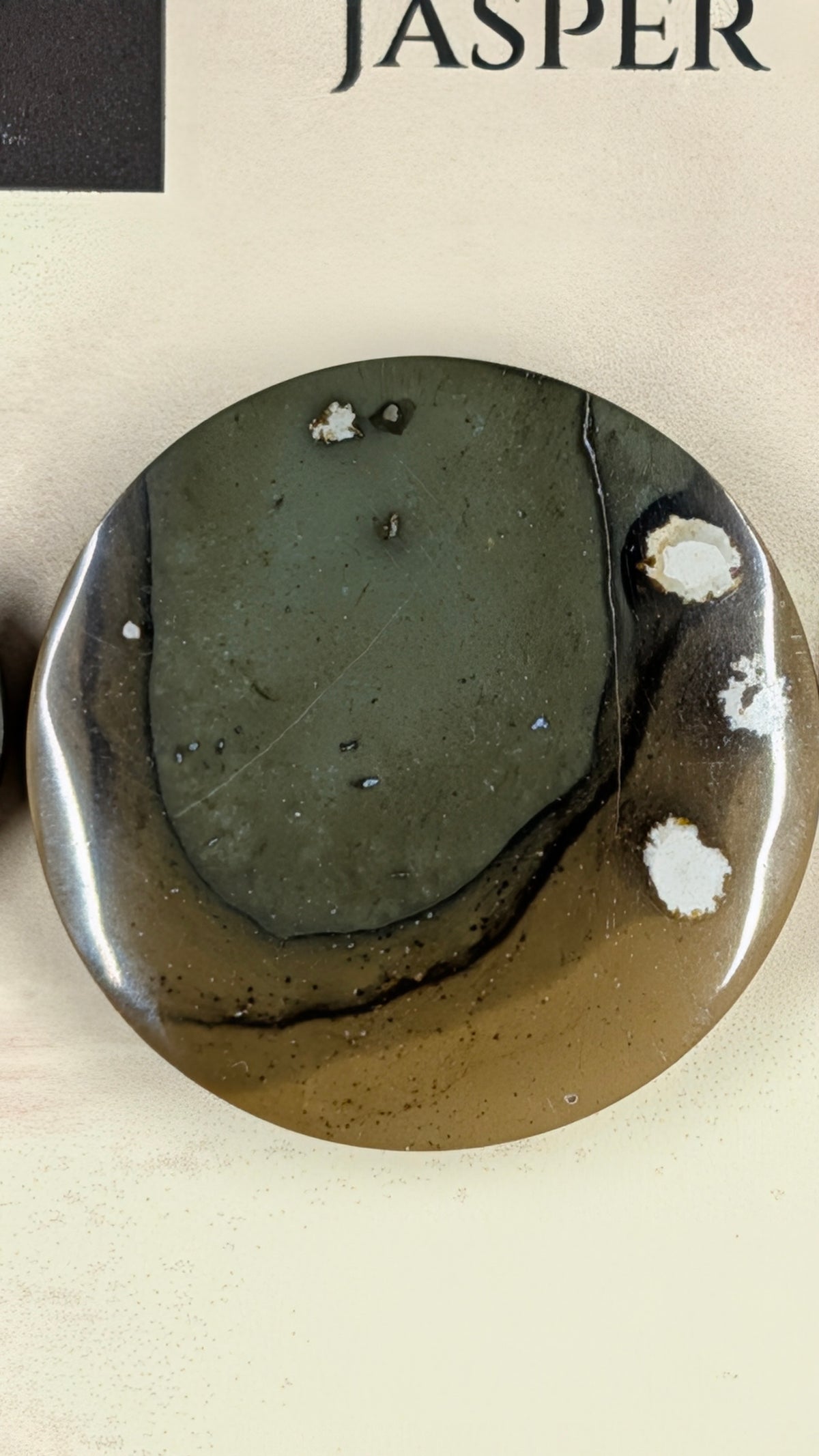 Circle Shape - Succor Creek Jasper - Design-Ready™ Set