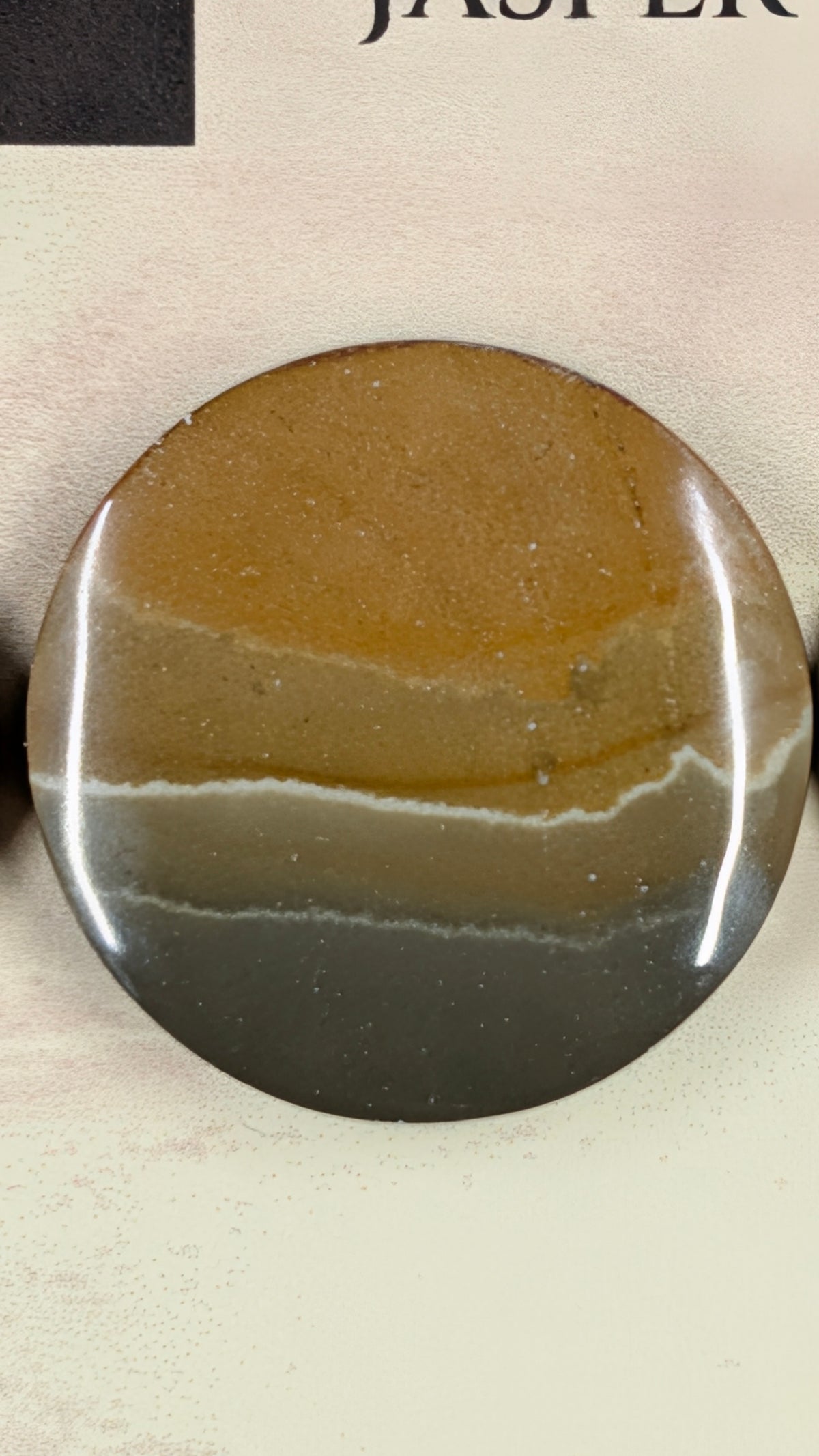 Circle Shape - Succor Creek Jasper - Design-Ready™ Set