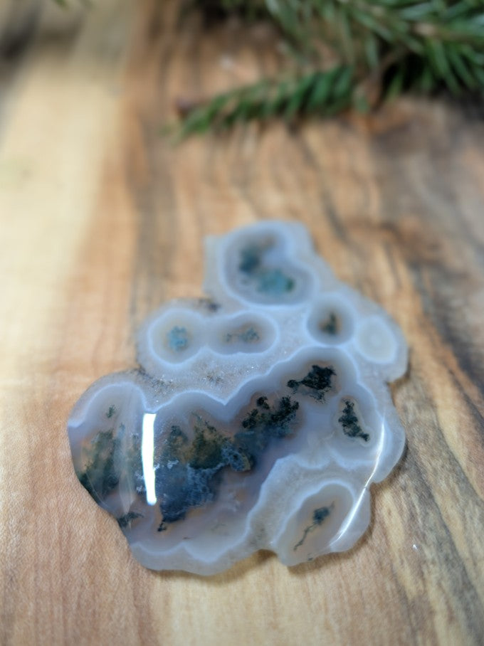 Solar Moss Agate - India - Cabochon - Natural Inclusion Pattern by Sacred Alchemy Studios