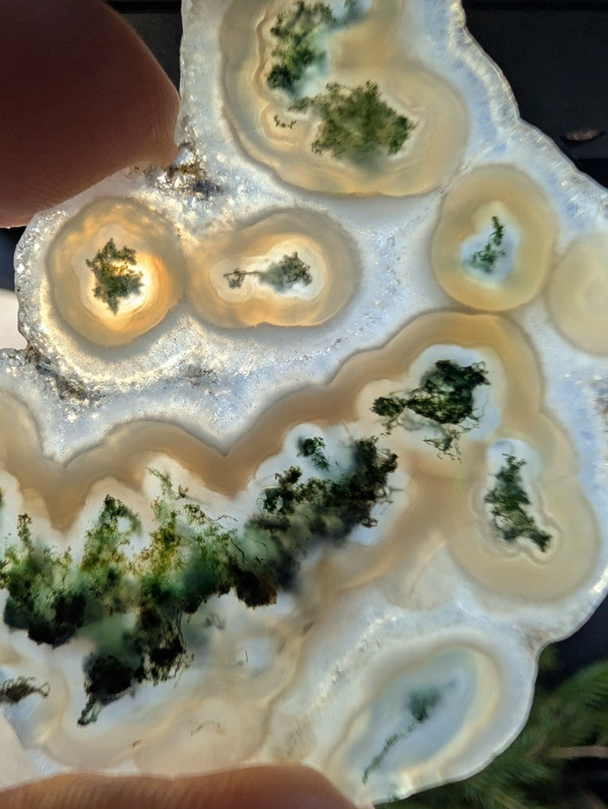 Solar Moss Agate - India - Cabochon - Natural Inclusion Pattern