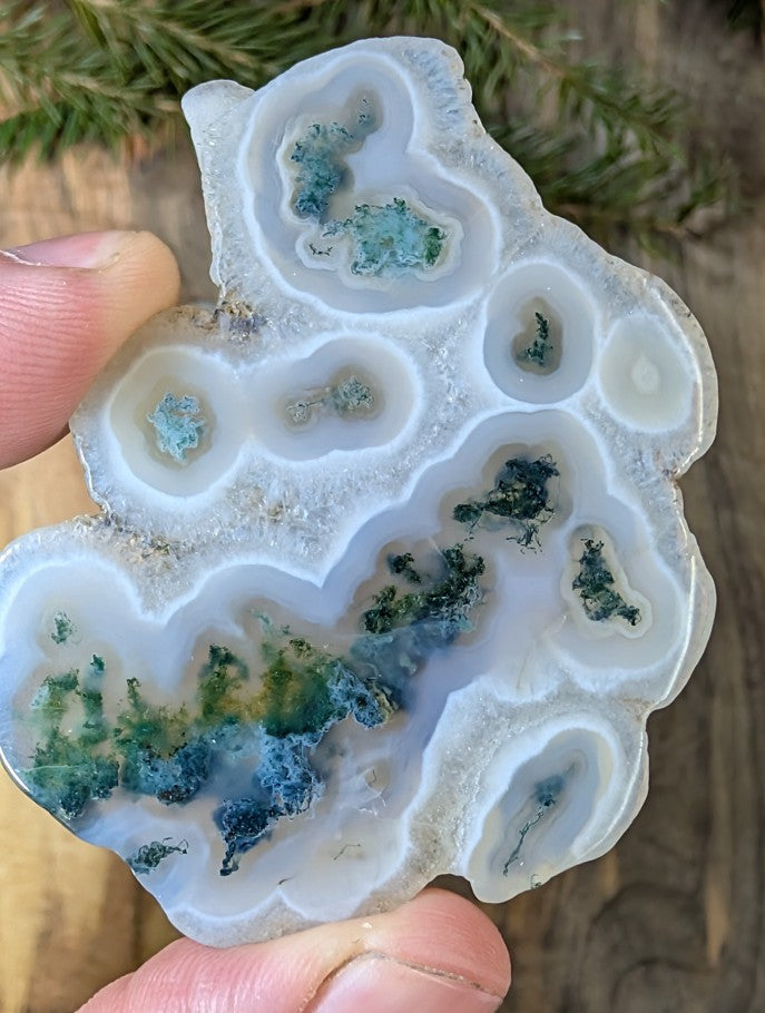 Solar Moss Agate - India - Cabochon - Natural Inclusion Pattern