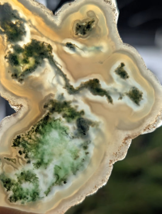 Solar Moss Agate - India - Cabochon - Natural Inclusion Pattern
