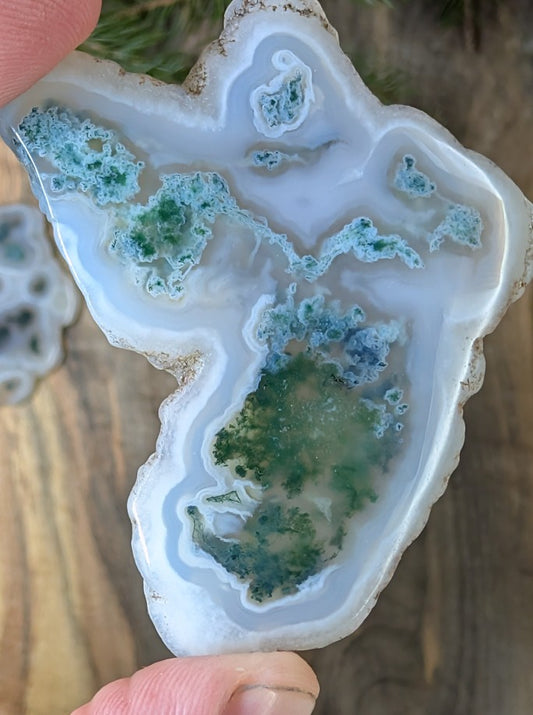 Solar Moss Agate - India - Cabochon - Natural Inclusion Pattern