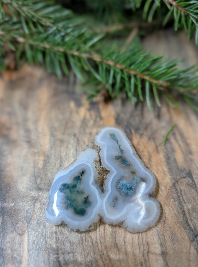 Solar Moss Agate - India - Cabochon - Natural Inclusion Pattern by Sacred Alchemy Studios