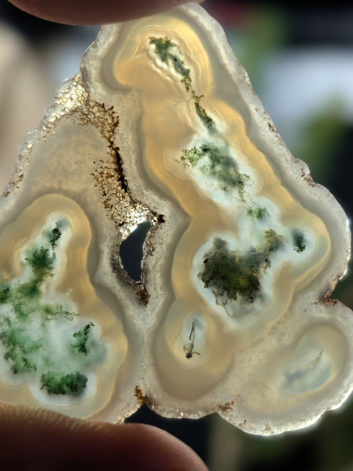 Solar Moss Agate - India - Cabochon - Natural Inclusion Pattern