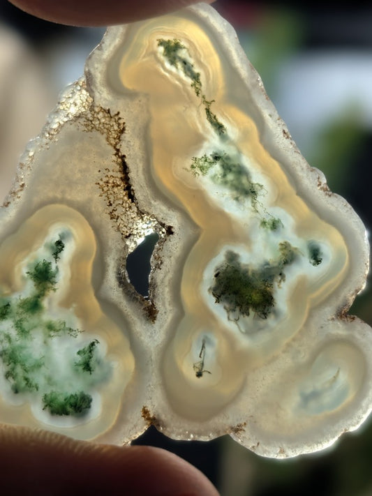 Solar Moss Agate - India - Cabochon - Natural Inclusion Pattern