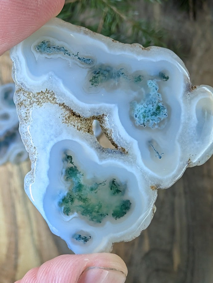 Solar Moss Agate - India - Cabochon - Natural Inclusion Pattern