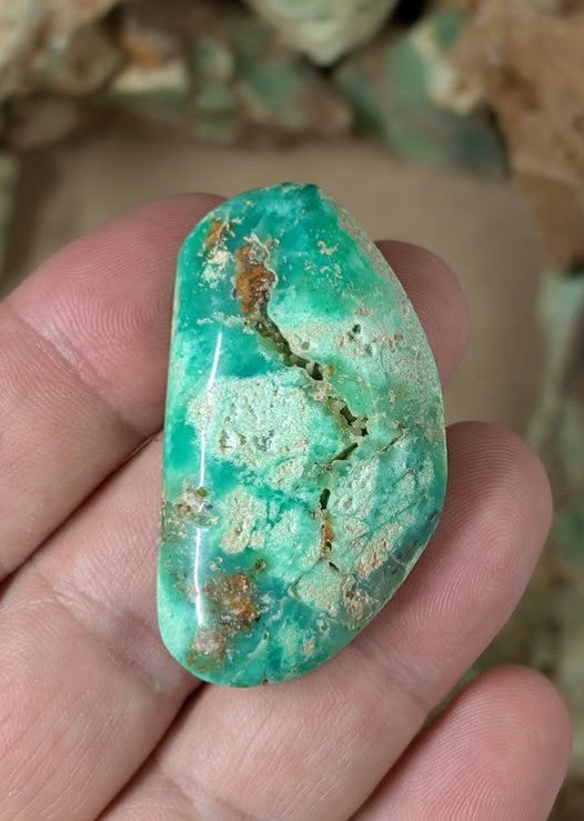 Chrysoprase Cabochon - Tanzania by Sacred Alchemy Studios