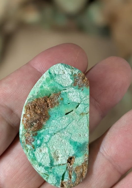 Chrysoprase Cabochon - Tanzania by Sacred Alchemy Studios