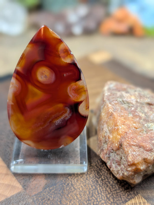 Carnelian -  Morocco  - 1 pc Cabochon