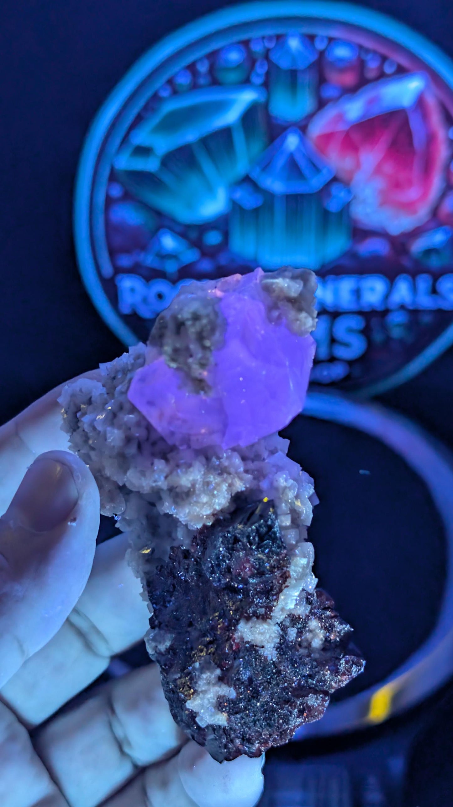 Sphalerite with Purple Fluorite on Dolomite