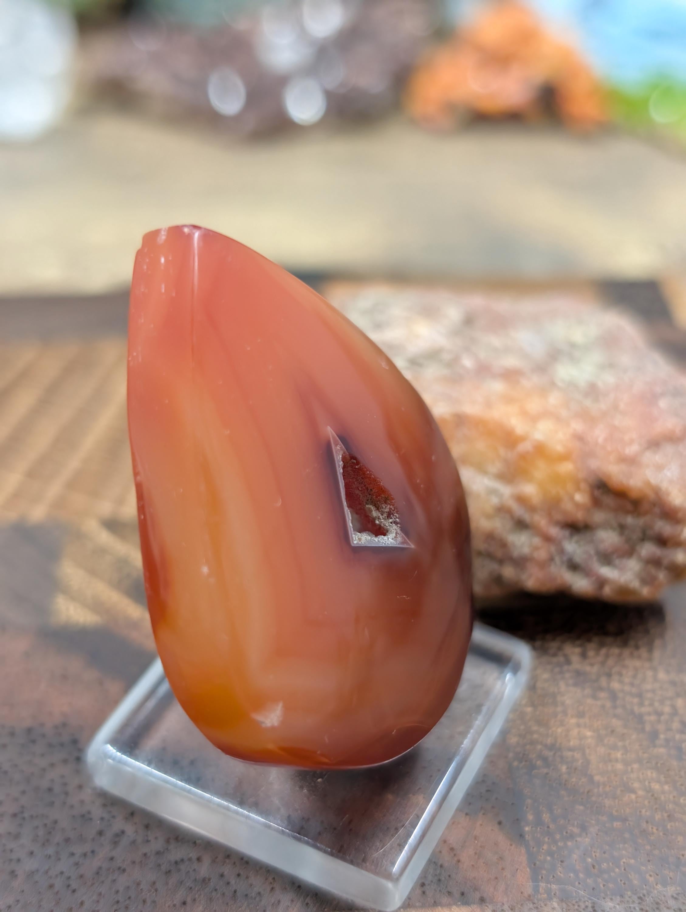 Carnelian -  Morocco  - 1 pc Cabochon