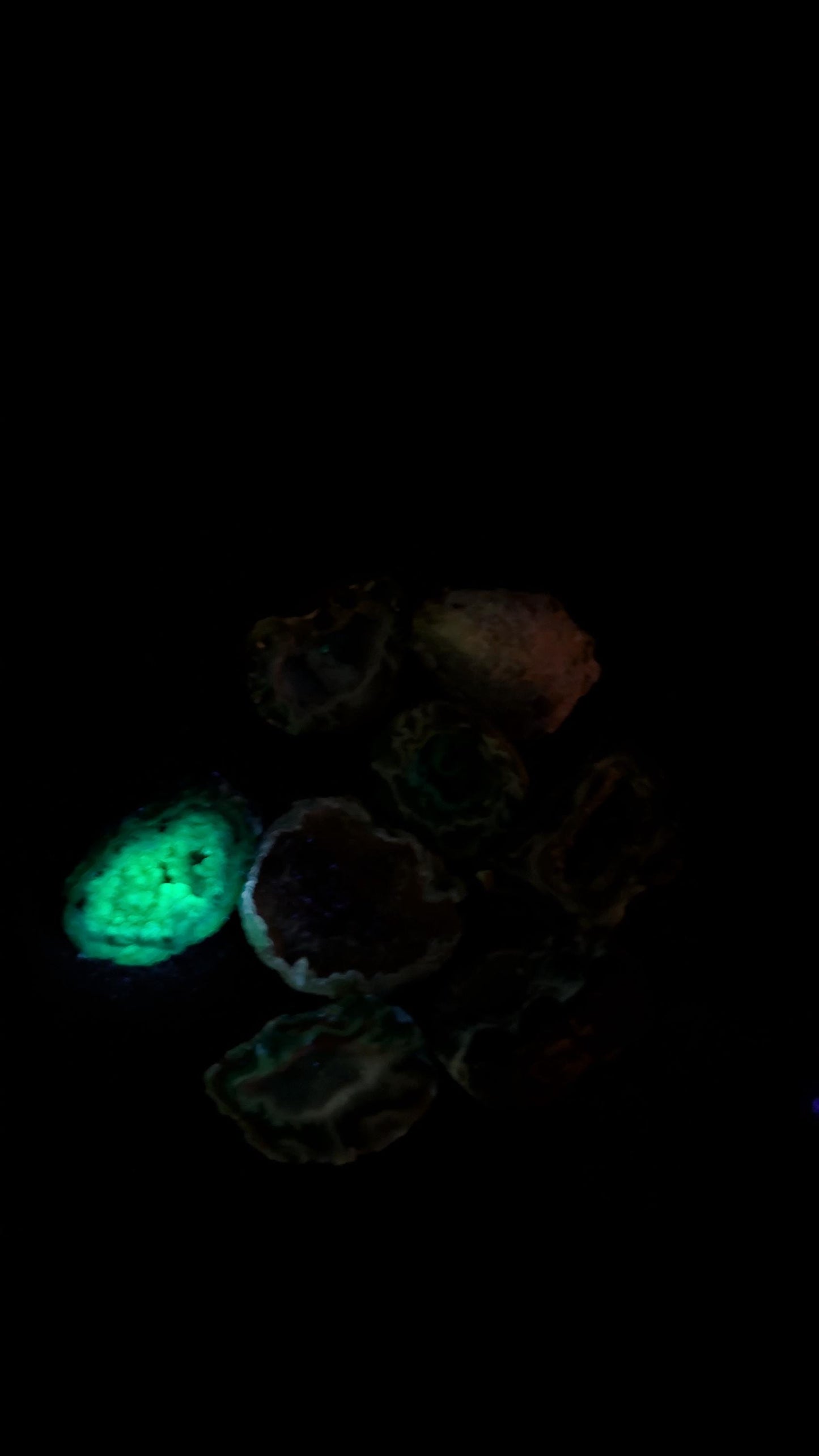 Geode Druzy – Brazil – UV Shortwave - Natural Sparkle