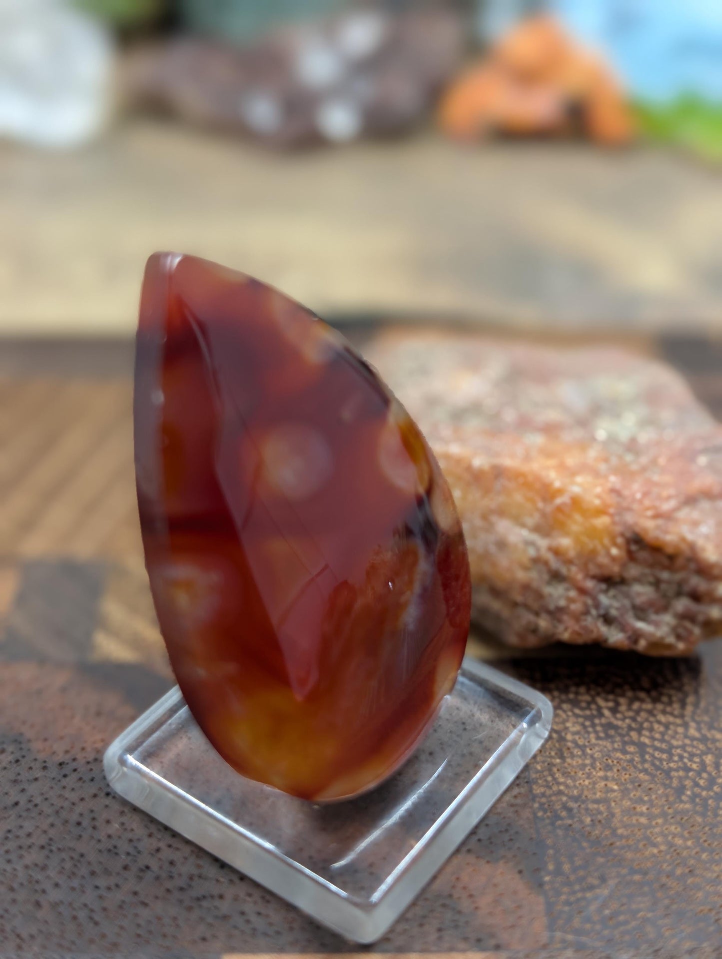 Carnelian -  Morocco  - 1 pc Cabochon