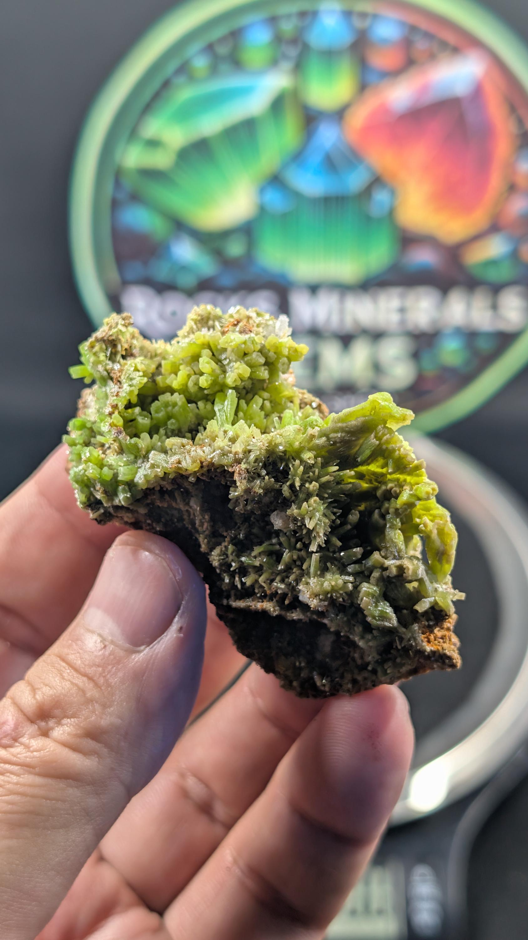 Pyromorphite - China - Daoping Mine - Museum-Grade Specimen by Sacred Alchemy Studios