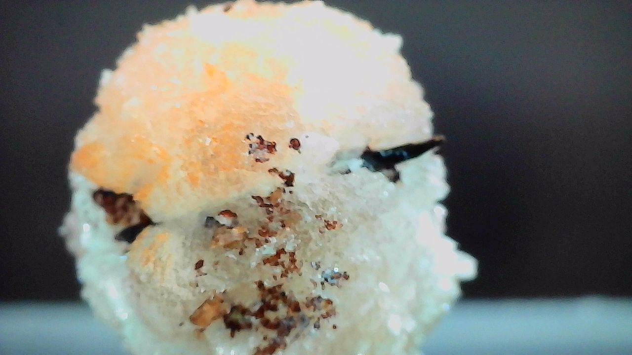 Hatelemohite Specimen – Mont Saint-Hilaire, Quebec - Ultra Rare by Sacred Alchemy Studios