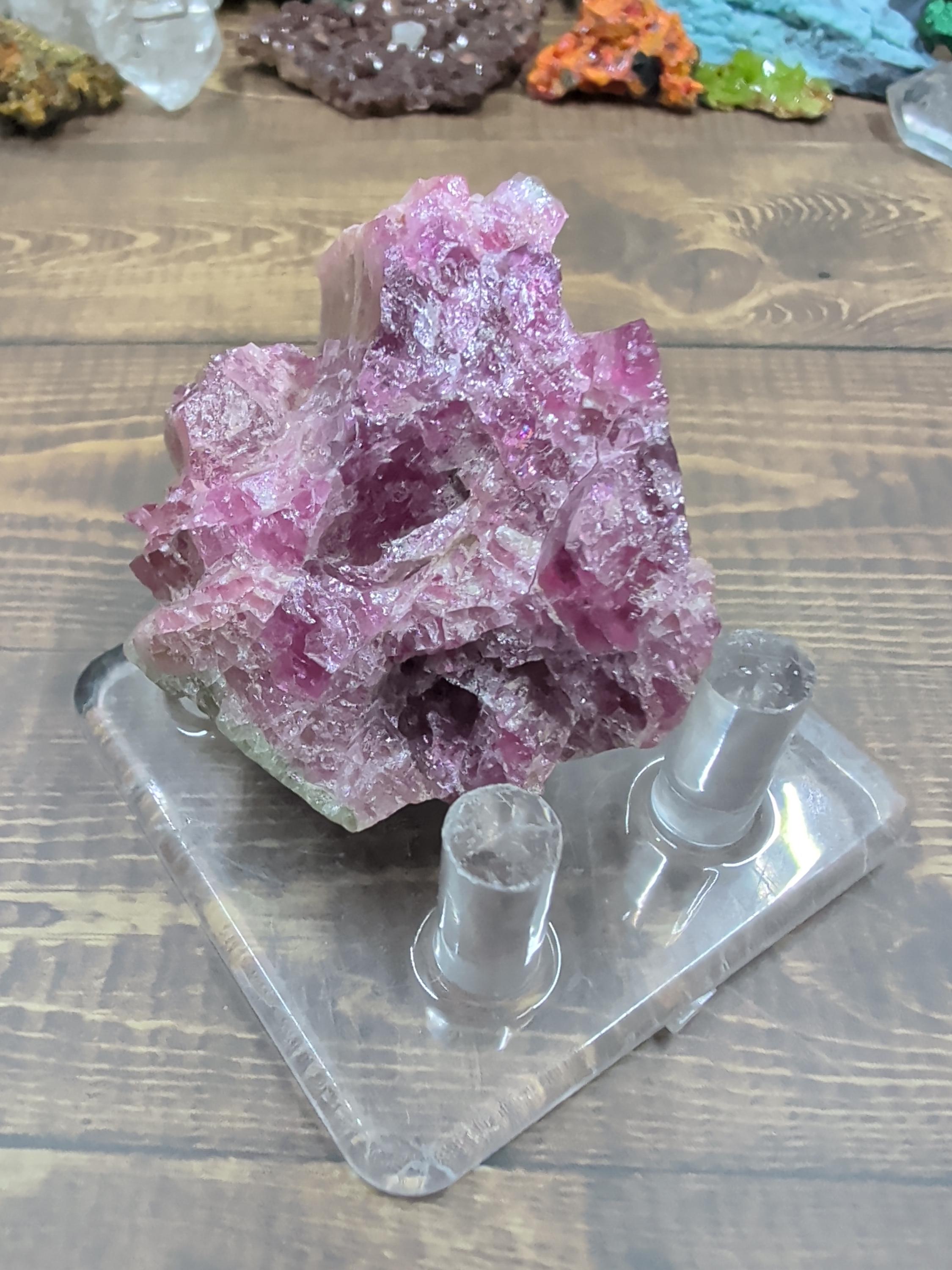 Tourmaline - Watermelon - Minas Gerais, Brazil - Specimen by Sacred Alchemy Studios