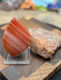 Carnelian -  Morocco  - 1 pc Cabochon