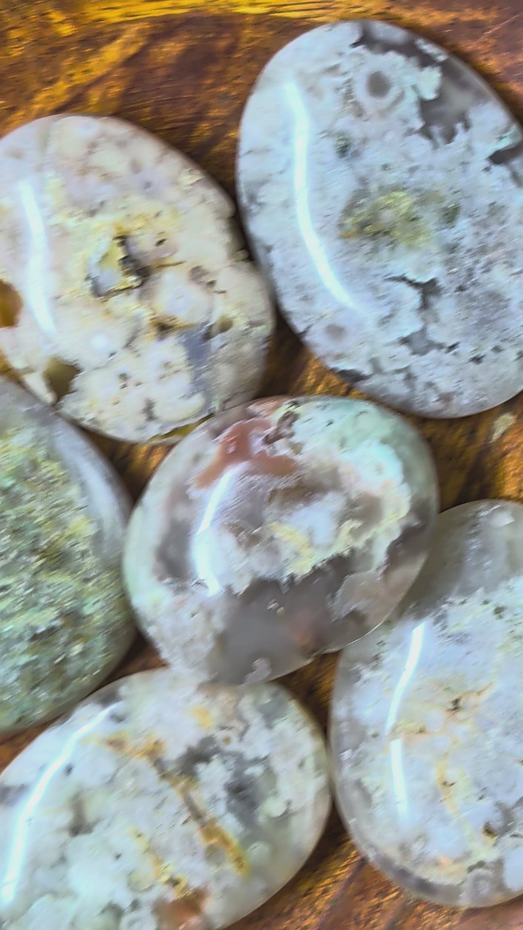 Flower Agate – Madagascar – Palm Stone
