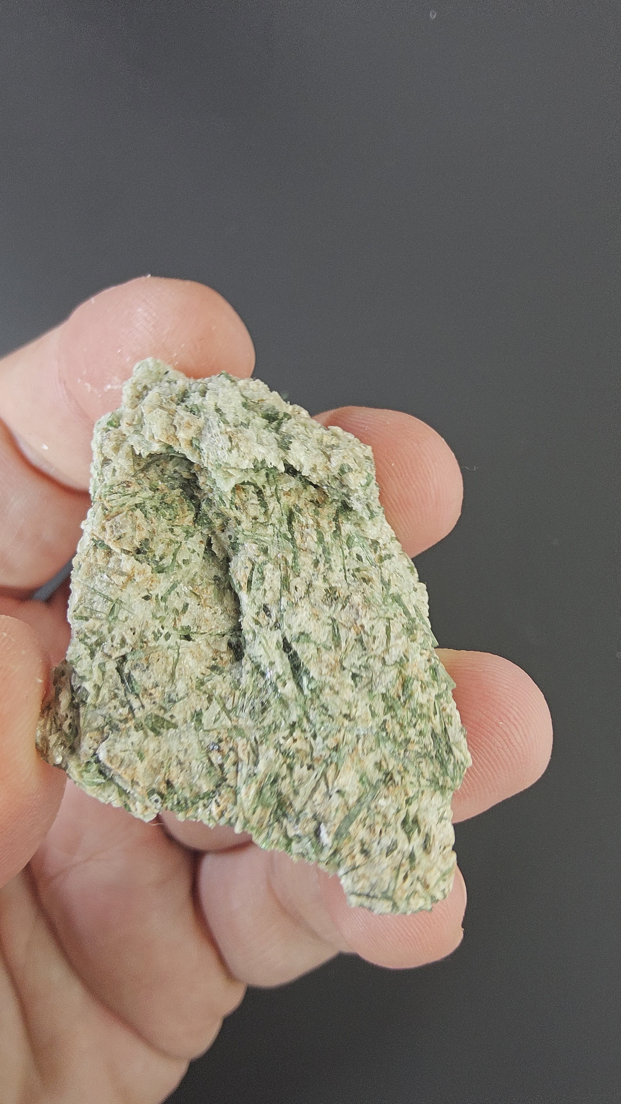 Actinolite - Mineral specimen - Radiating green crystal habit