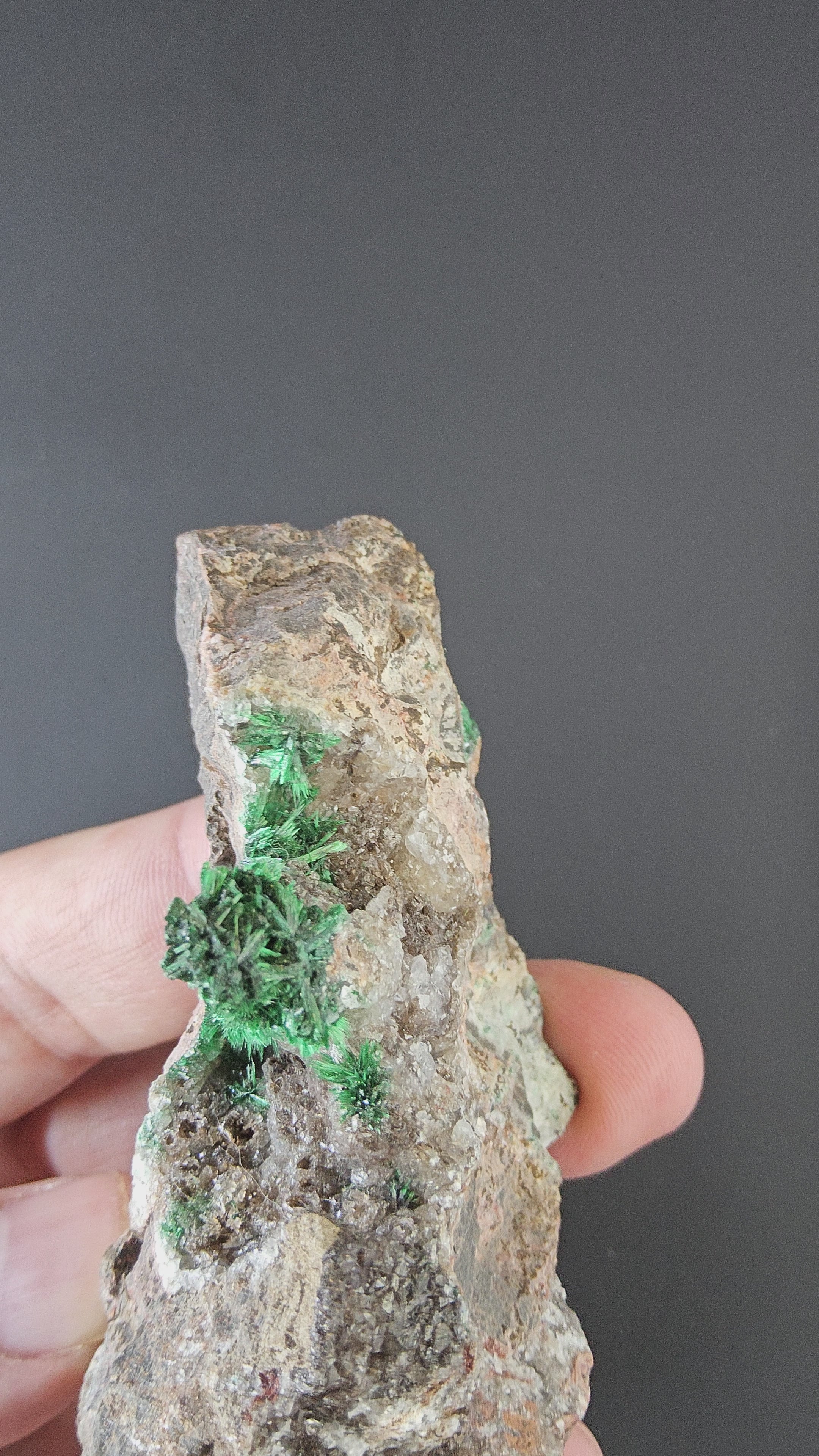 Brochantite - Arizona - Morenci Mine - Fibrous Museum Grade