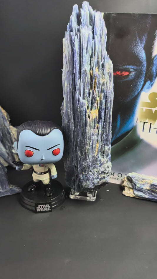 Kyanite - Minas Gerais, Brazil - "The Thrawn" 917 Gram Collector Piece