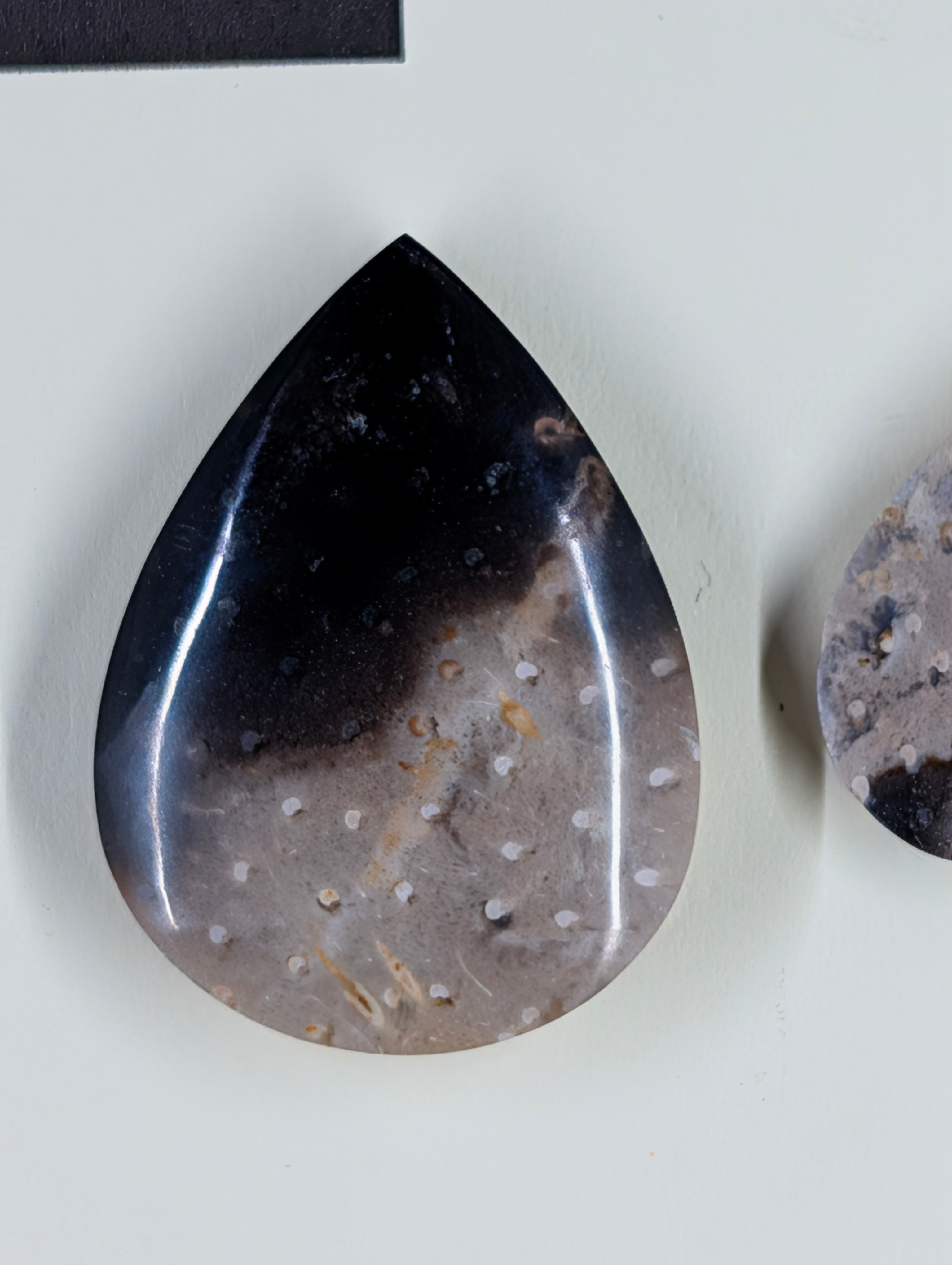 Tear Shape - Fossilized Palm Root - Design-Ready Set by Sacred Alchemy Studios