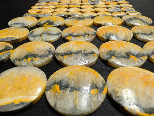 Circle Shape - Bumblebee Jasper - Design-Ready Calibrated Sets